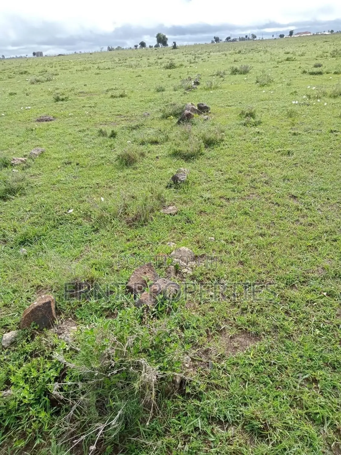 Prime Acreage for Sale | Birika, Kajiado 🔥 in Isinya