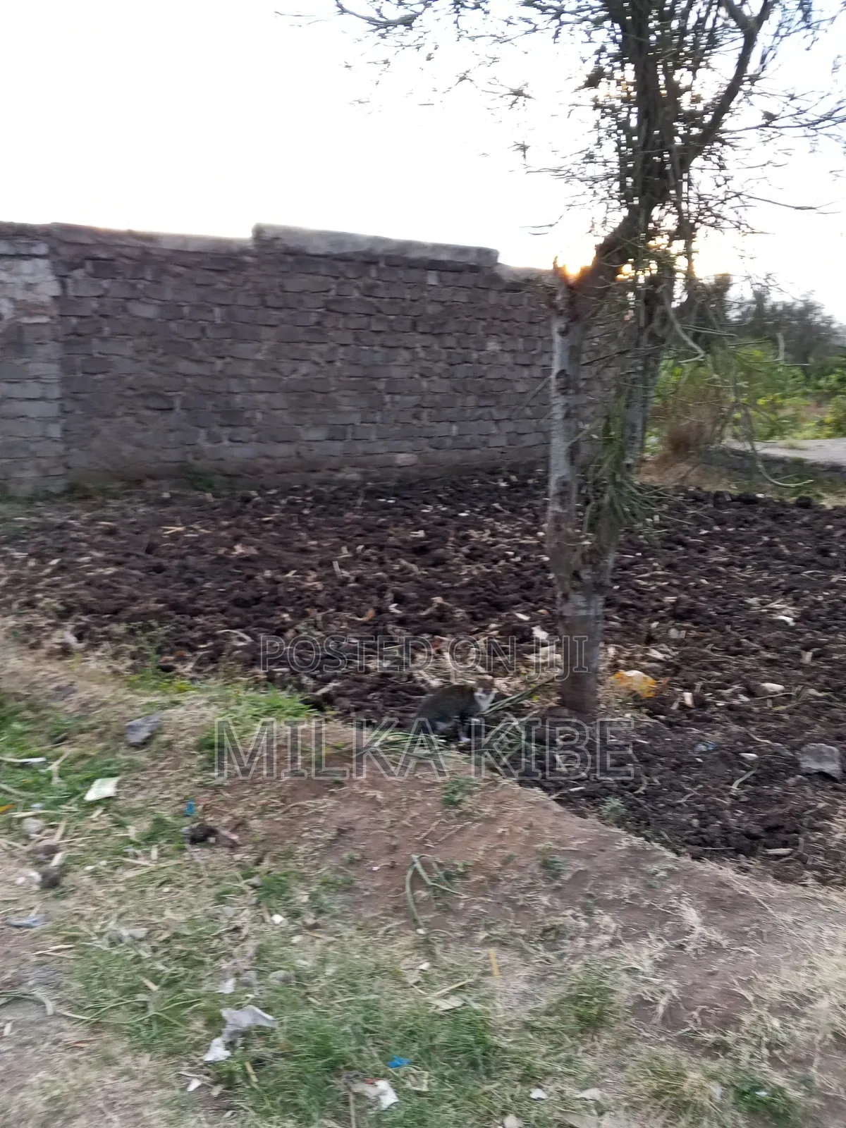 Kiganjo Mali Plot in Thika Hospital