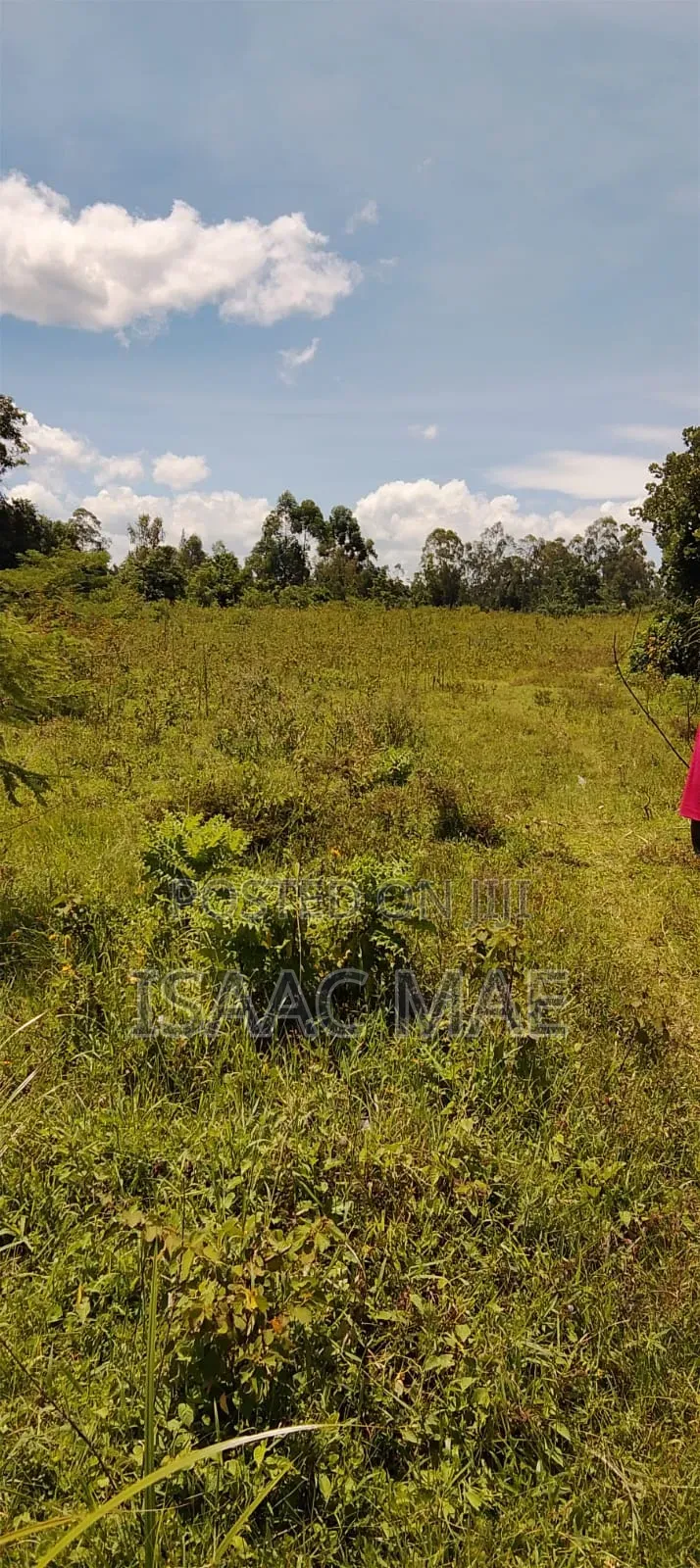 24 Acres for Sale With Ready Tittle Deed Per Acre in Jilore