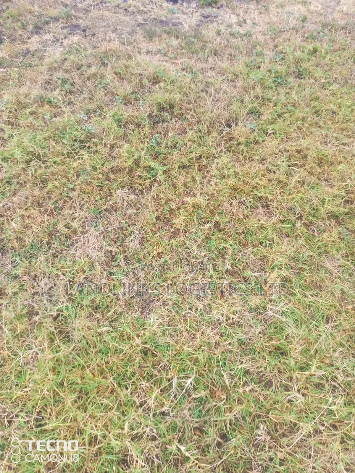 Mlolongo Phase 3 , 40 by 60 Plots for Apartments Differenrmt Areas in Mlolongo