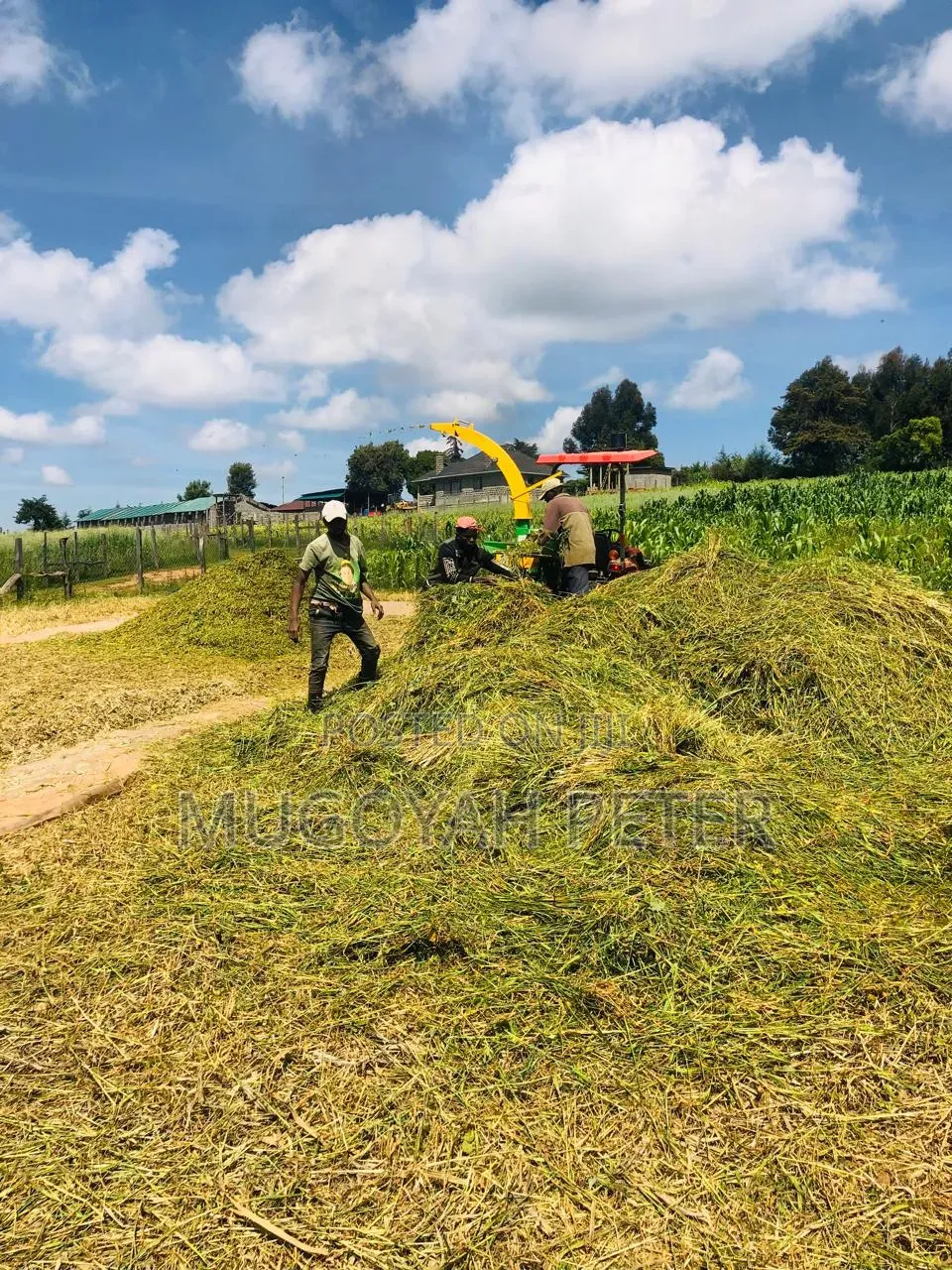Thirty Three Acre Farm for Sale in Nyandarua in Karau