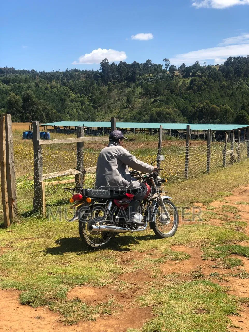 Thirty Three Acre Farm for Sale in Nyandarua in Karau