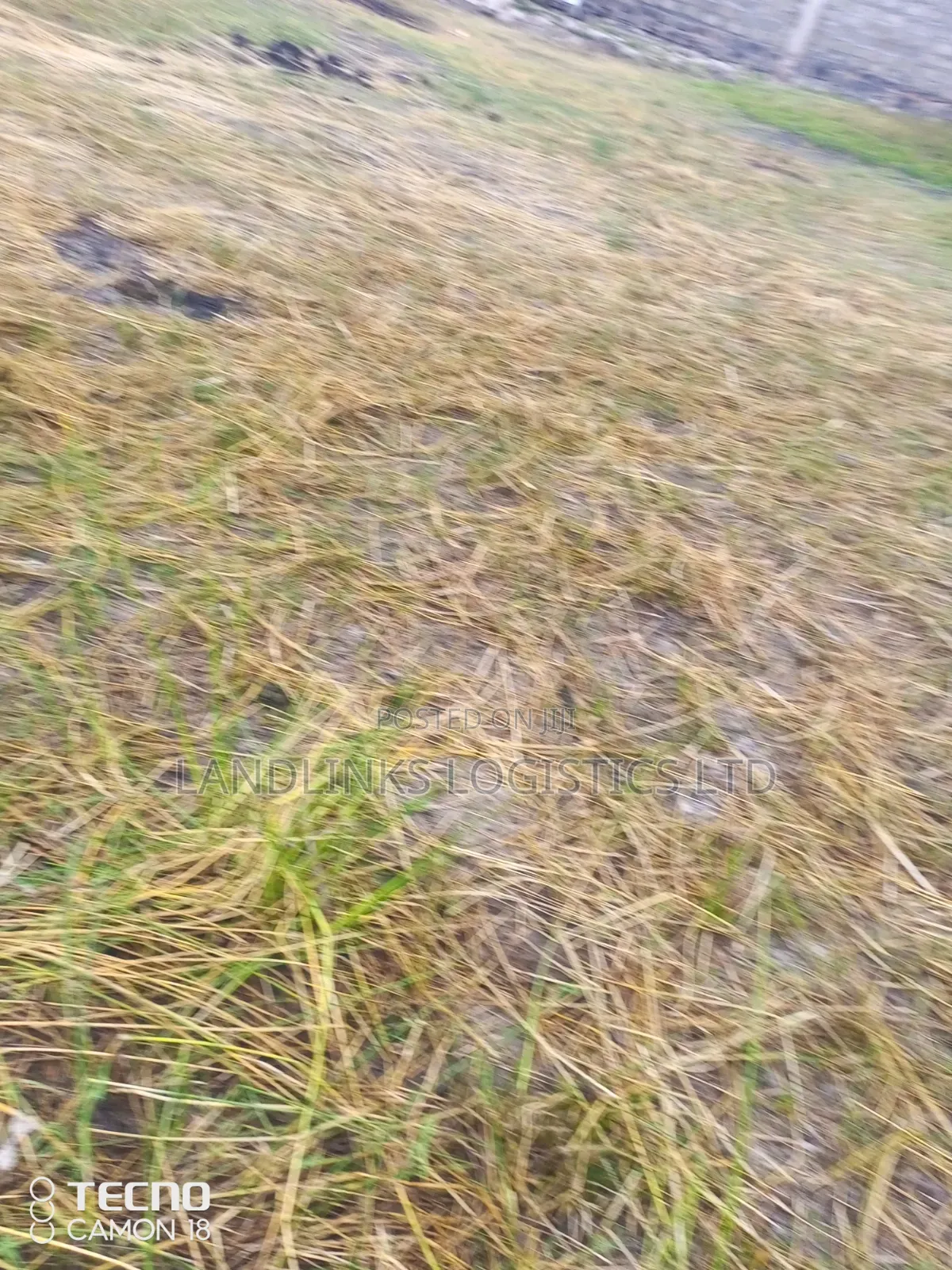 Syokimau Blocks of 5 , 5 Acres Katani Rd & Mwanainchi Rd for Anything in Katani