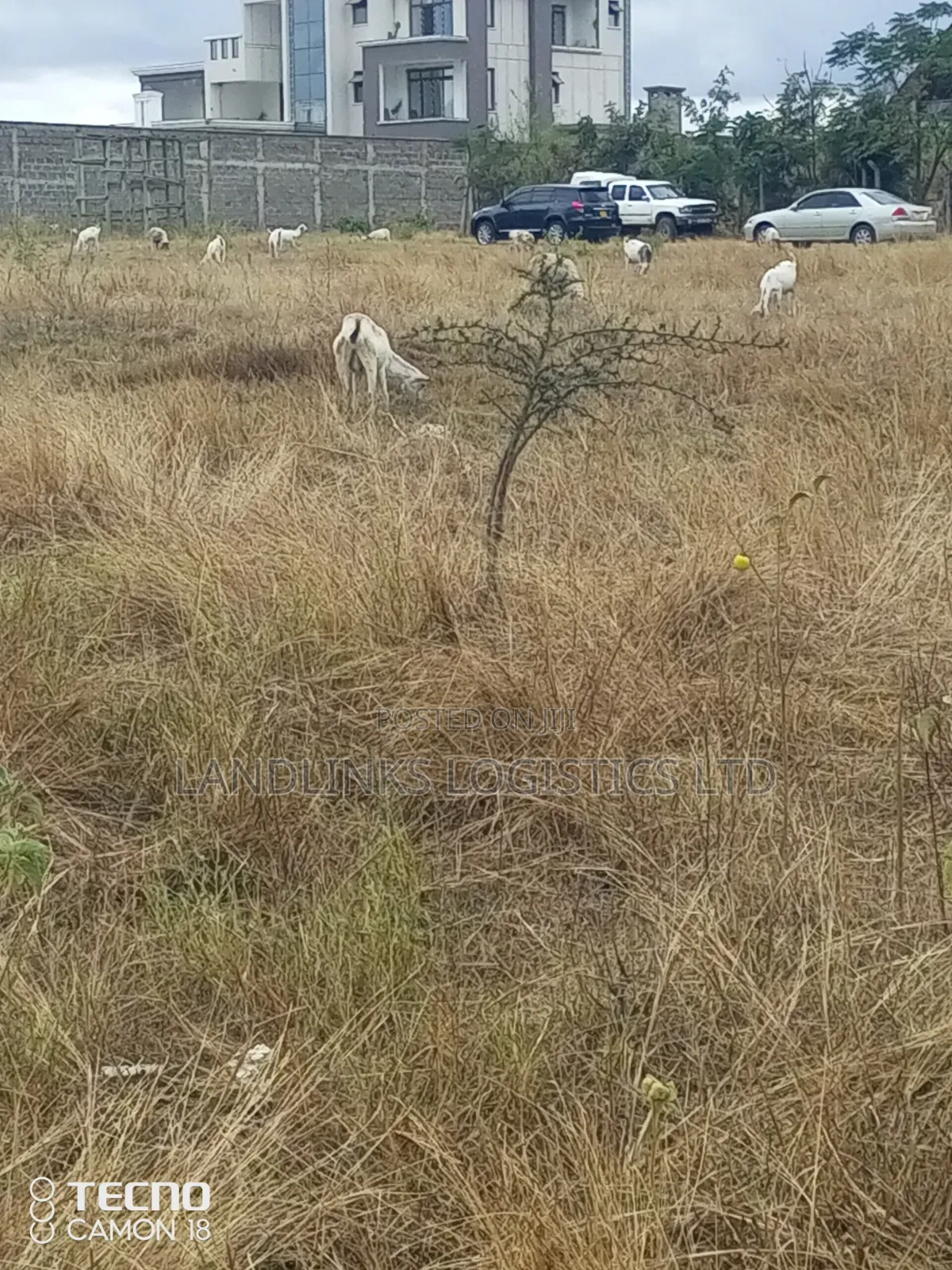 Daystar  University 2kms Before 50 by 100 Plots Enroute Msa Rd 6kms in DayStar Area