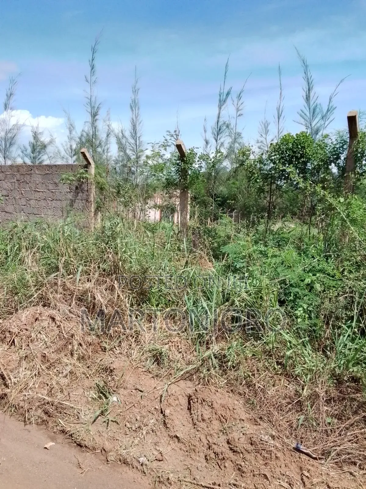 Muthaara Estate Thika in Witeithie