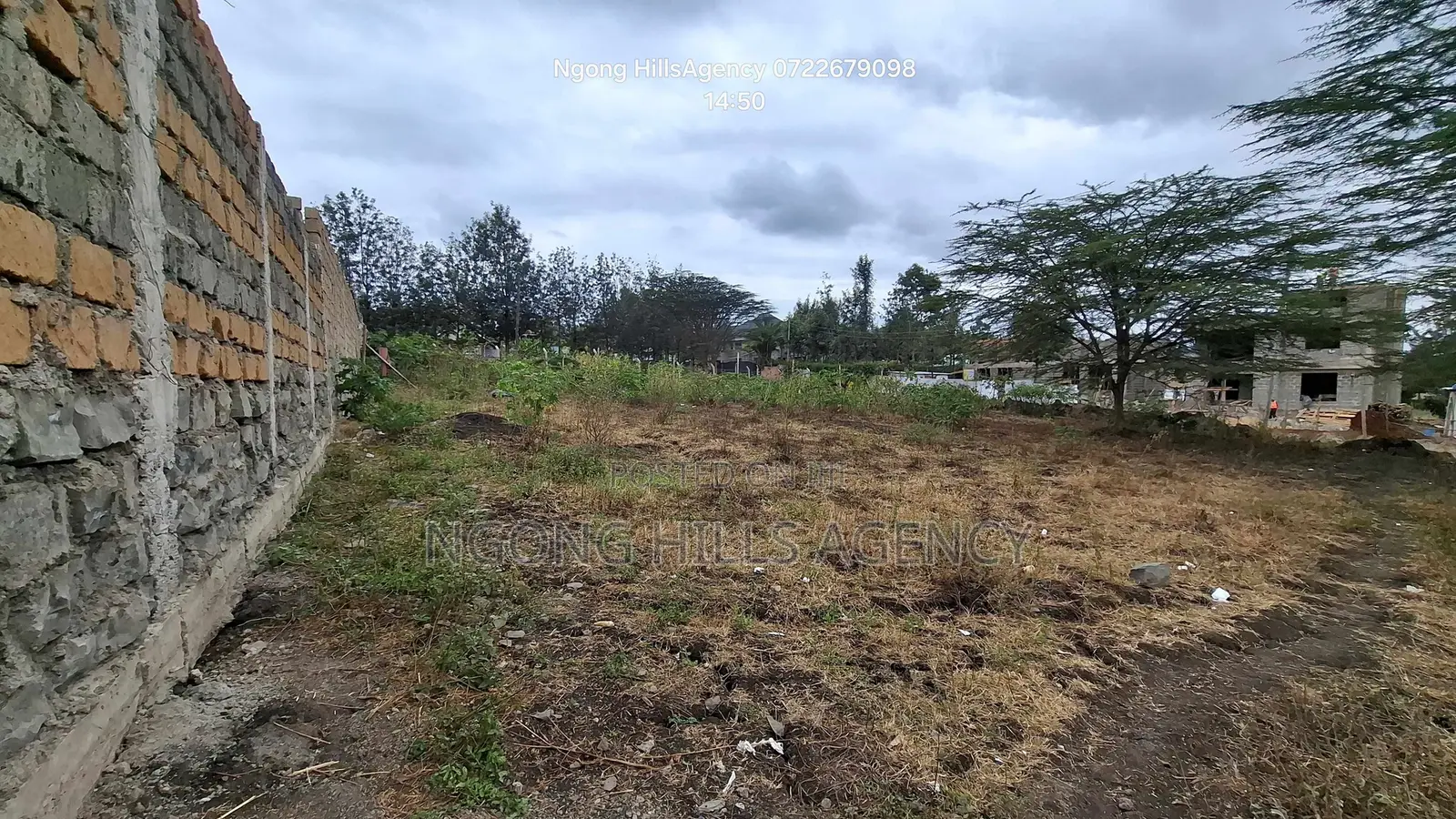 Prime 50 X 100 Plots for Sale – Merisho Road, Ngong (100m Off Taramac) in Merisho