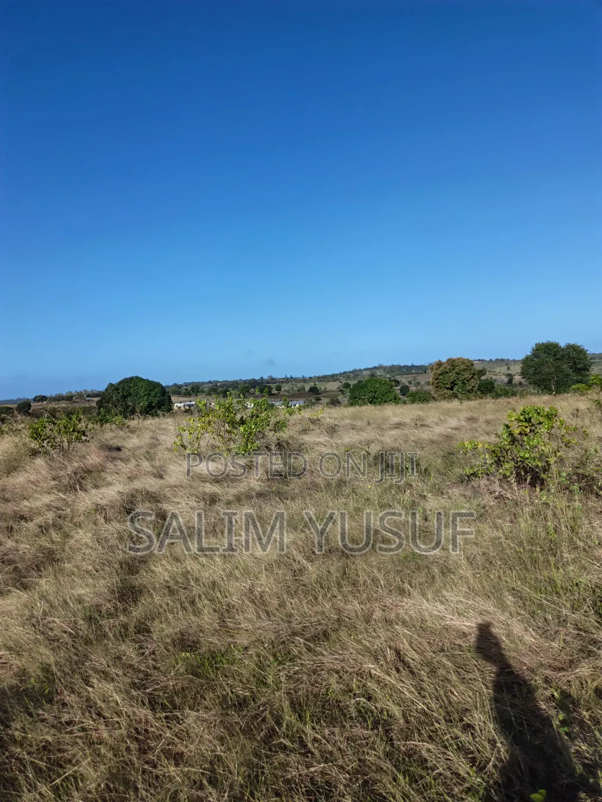 Land on Sale Kundutsi Kwale Count 17acre 1m Per Acre in Tsimba Golini