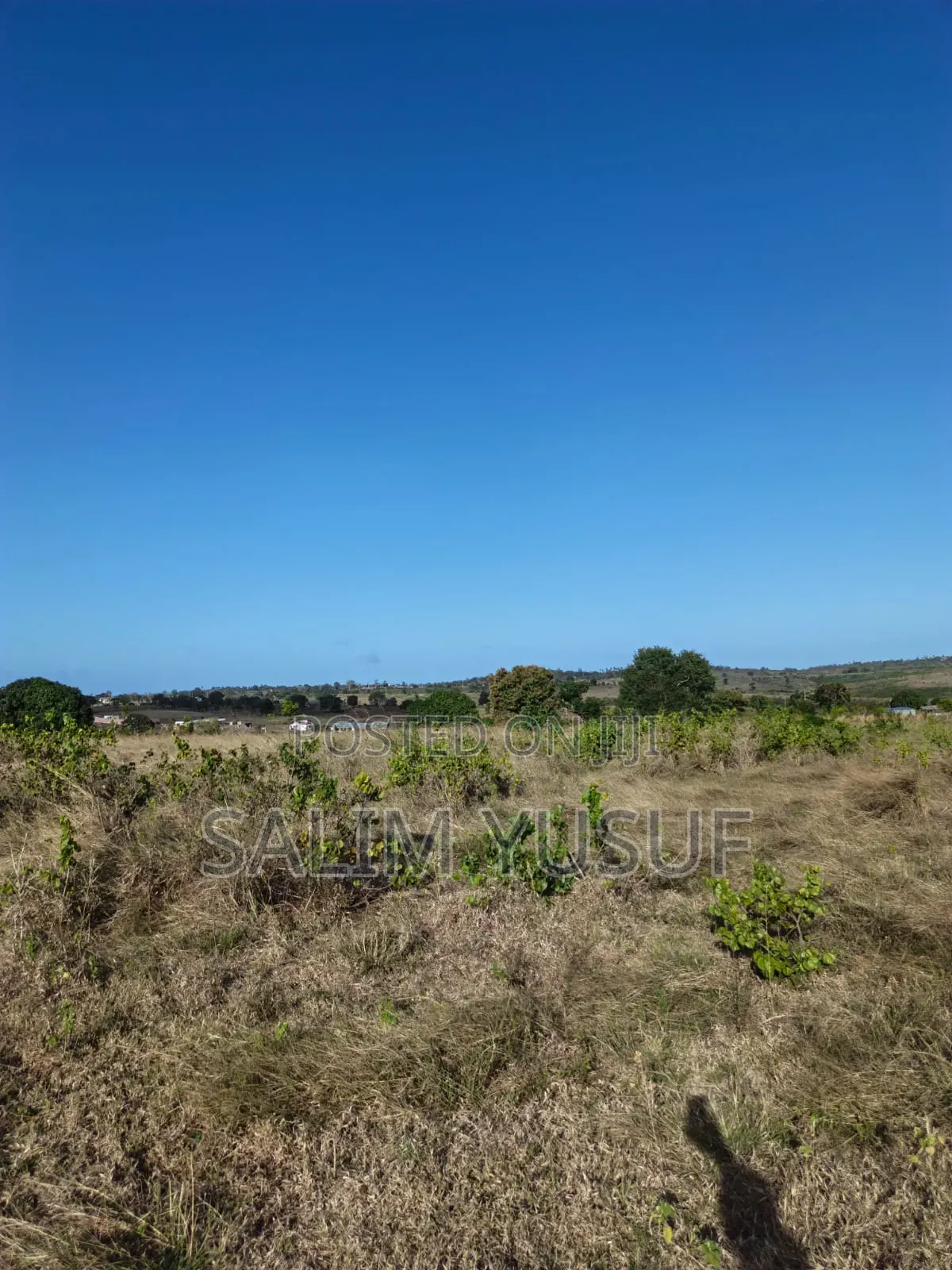 Land on Sale Kundutsi Kwale Count 17acre 1m Per Acre in Tsimba Golini