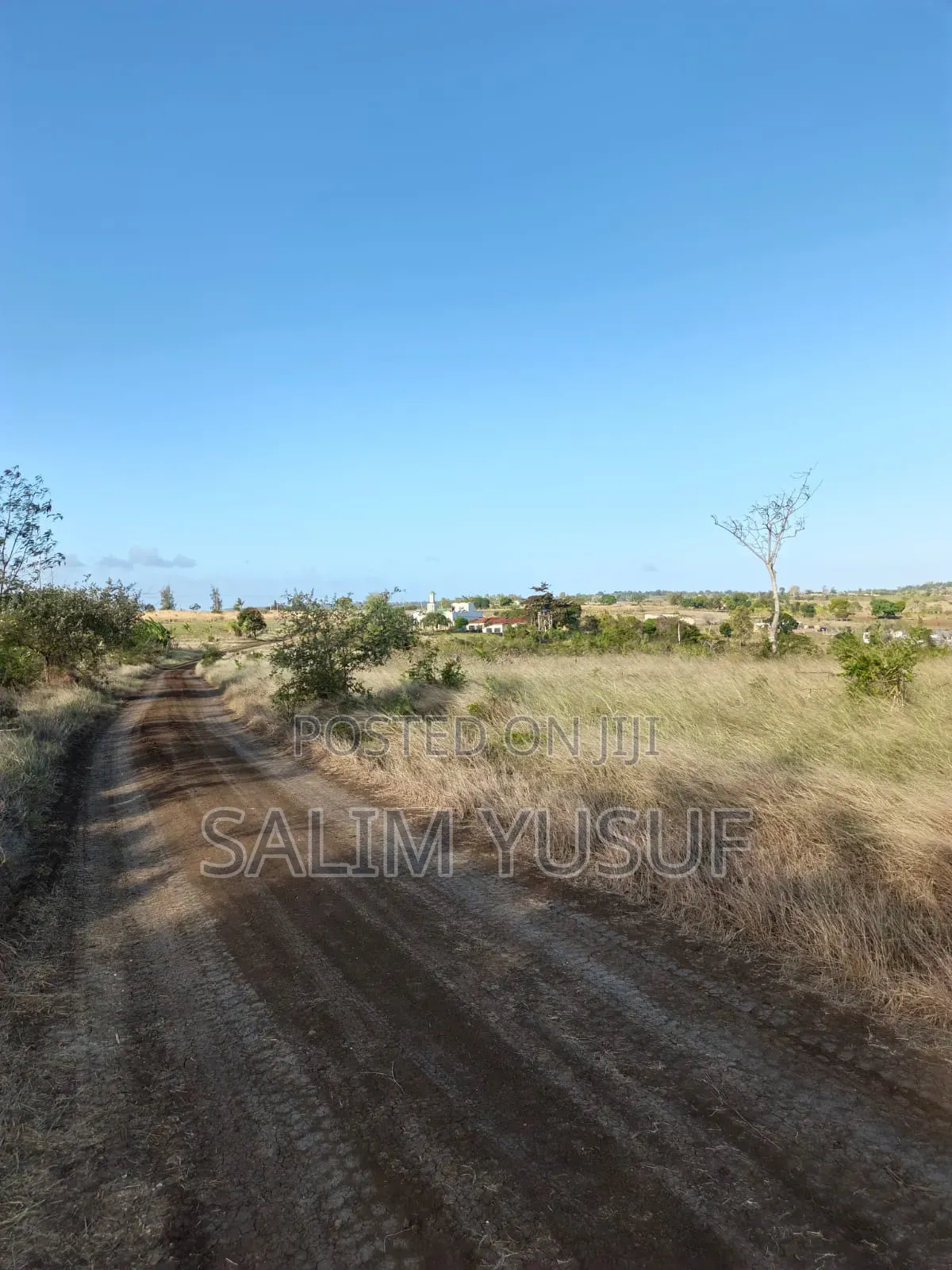 Land on Sale Kundutsi Kwale Count 17acre 1m Per Acre in Tsimba Golini