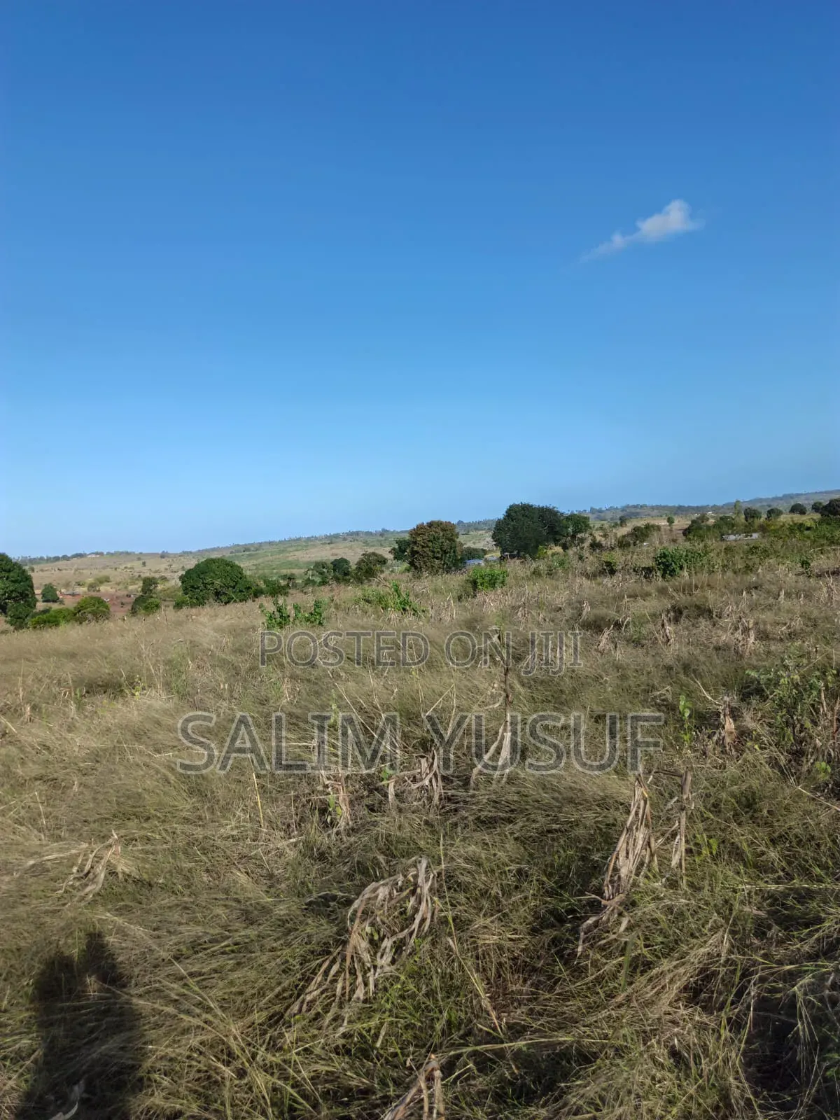 Land on Sale Kundutsi Kwale Count 17acre 1m Per Acre in Tsimba Golini