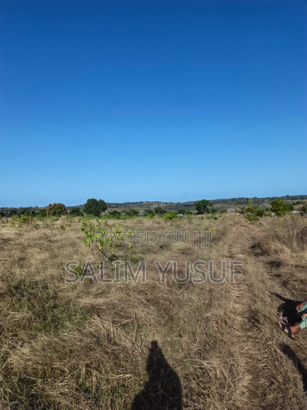 Land on Sale Kundutsi Kwale Count 17acre 1m Per Acre in Tsimba Golini