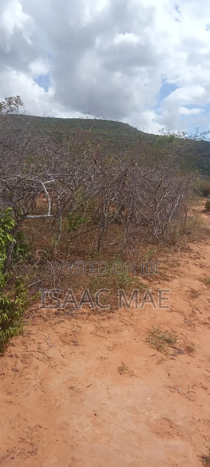 40 Acres for Sale at Kilifi Ndungumunani Area 120k Per Acre in Jilore