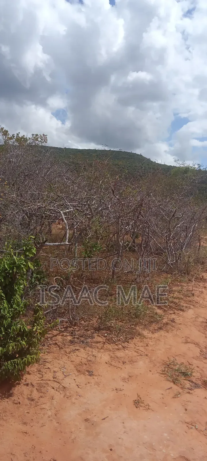40 Acres for Sale at Kilifi Ndungumunani Area 120k Per Acre in Jilore