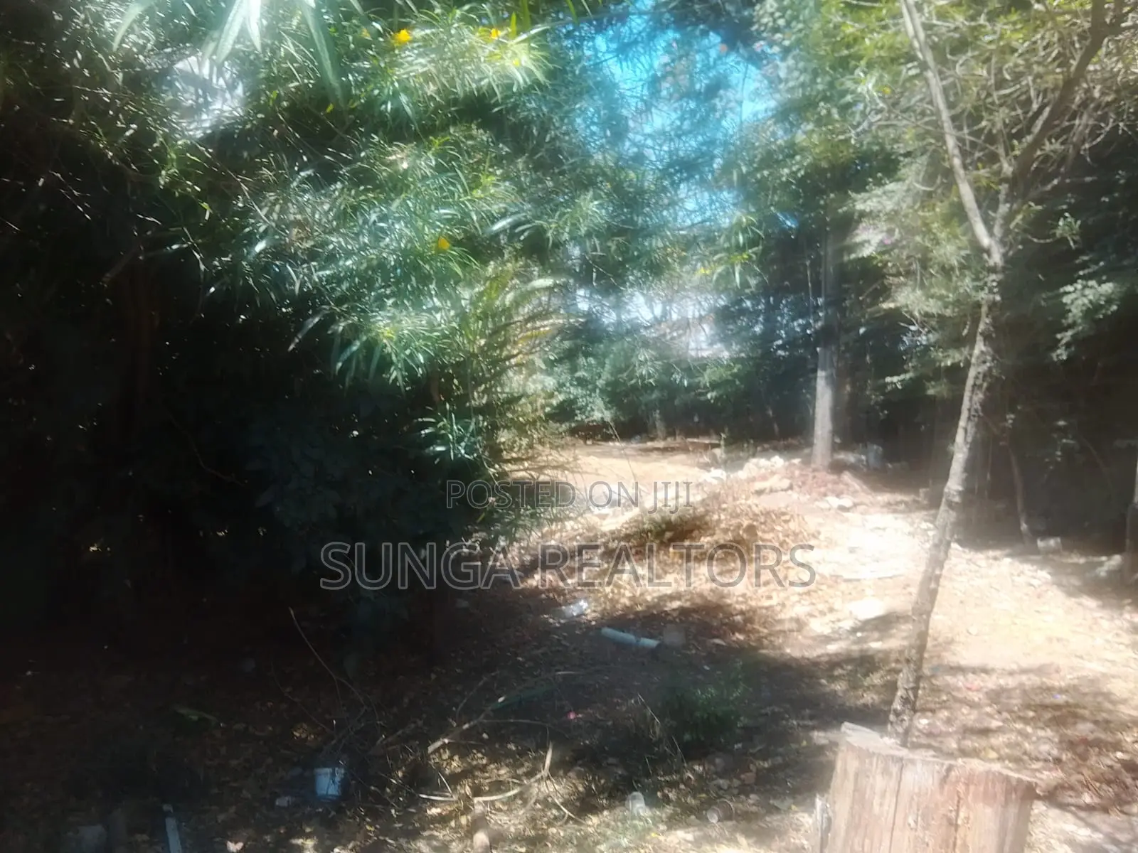 Commercial Property for Rent in Kilimani in Hurlingham