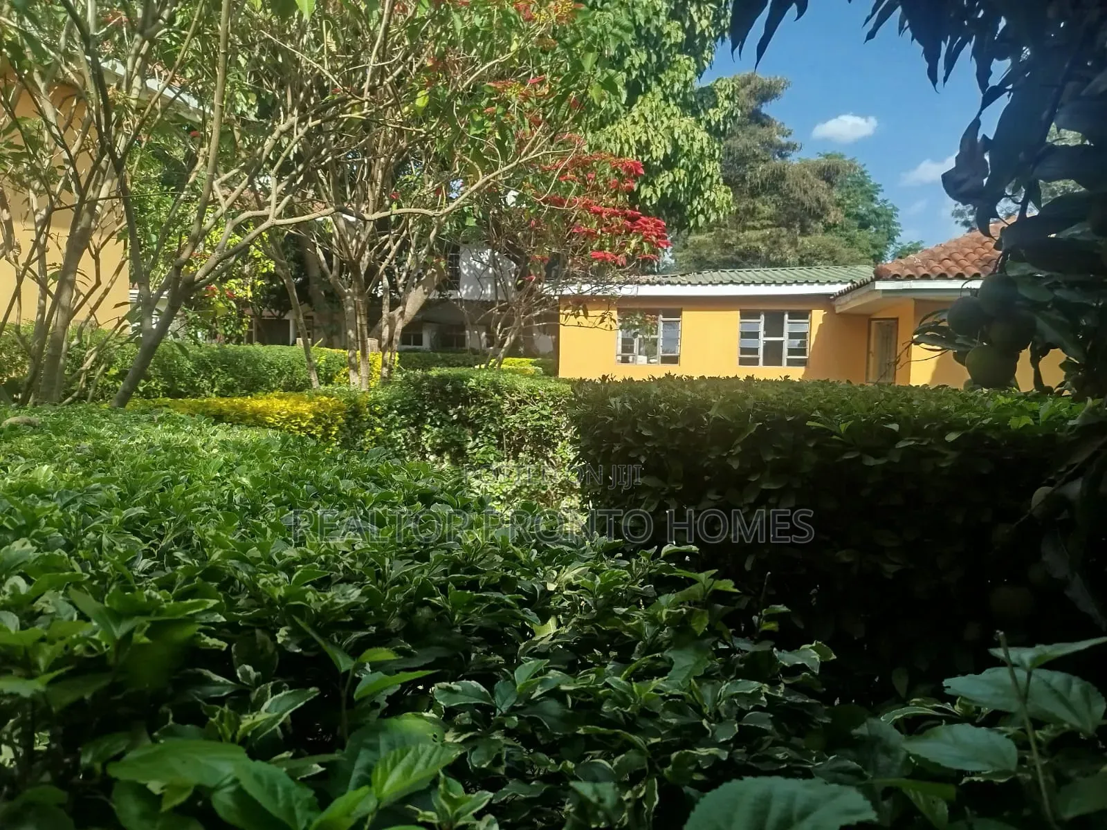 Prime Guesthouse / Hotel Property to Let – Karen in Hardy