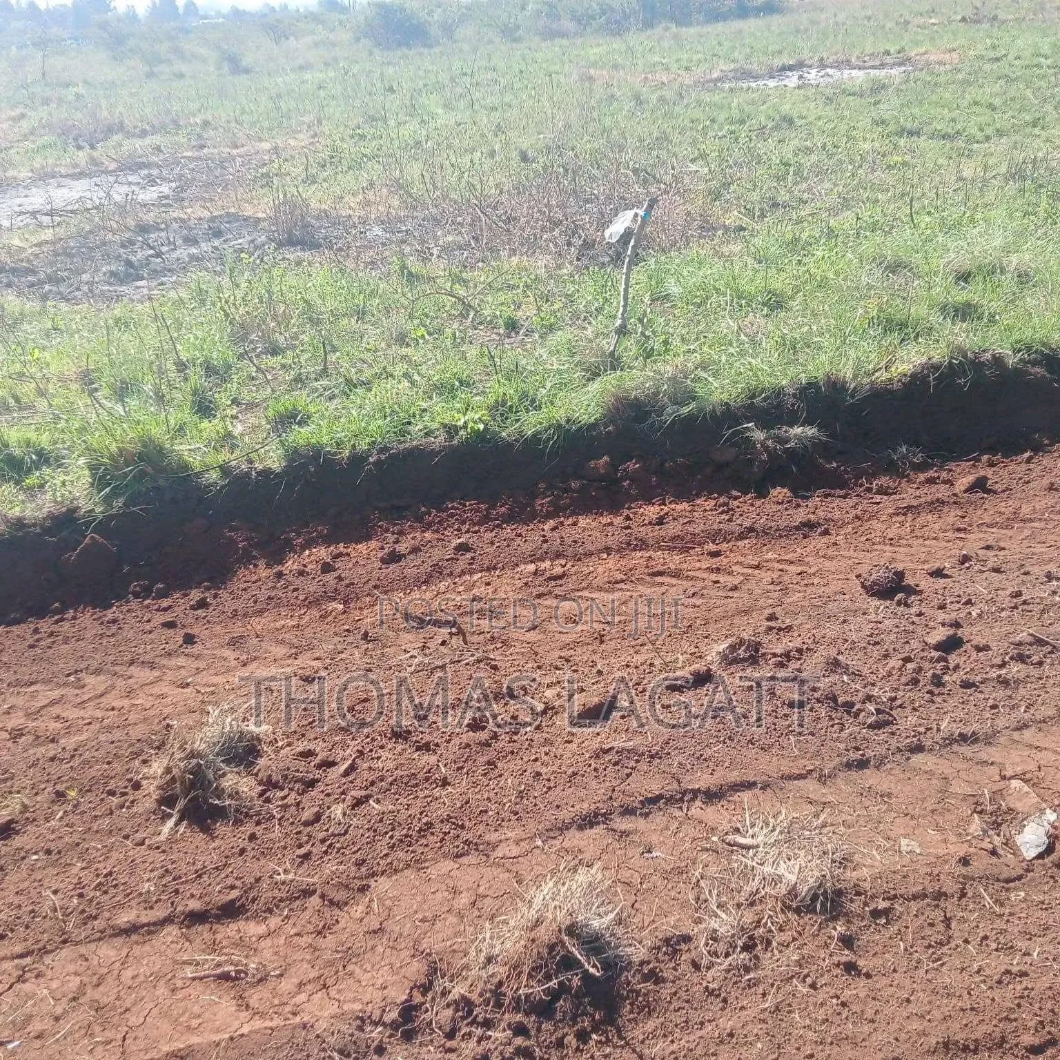 Eldoret Hillside Prime Residential Plots on Sale in Hillside