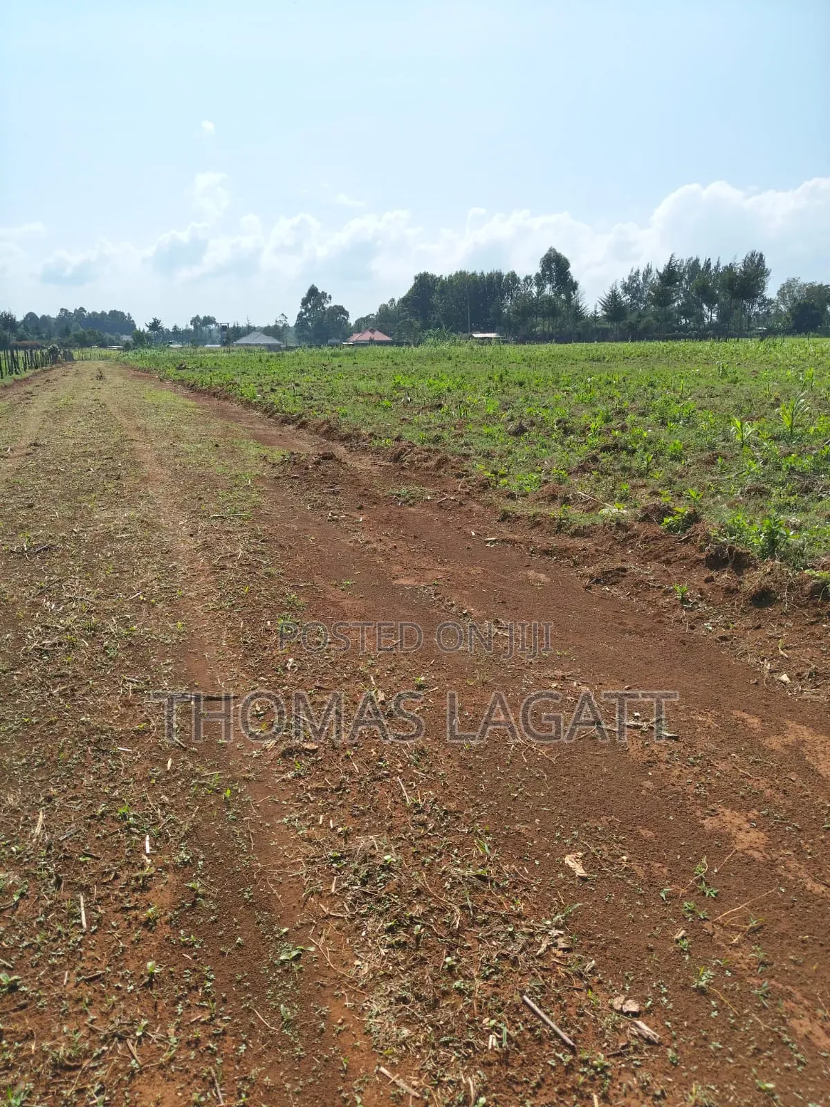 Eldoret Outspan Prime Residential 1⁄8 Acre Plots on Sale in Racecourse