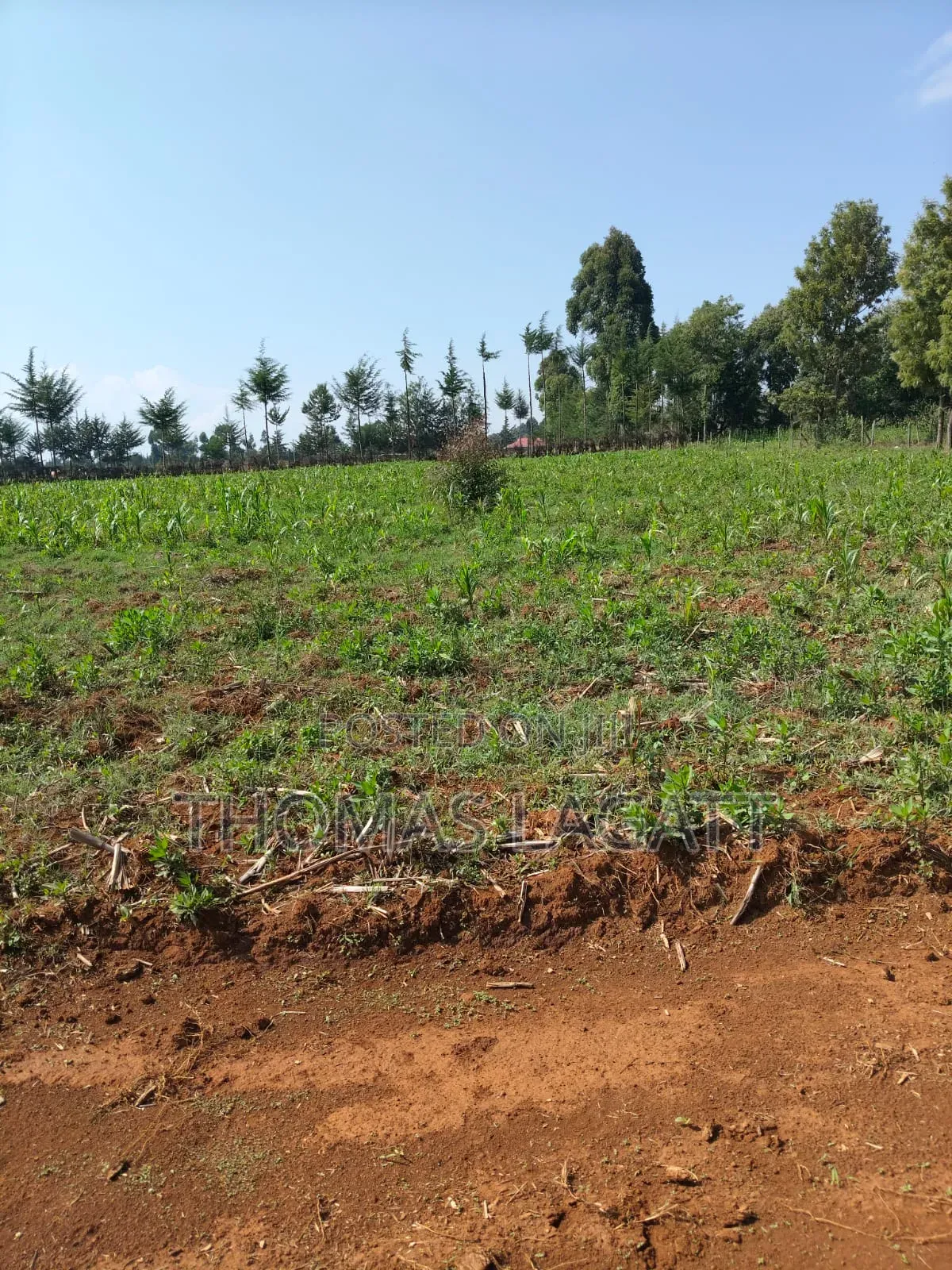 Eldoret Outspan Prime Residential 1⁄8 Acre Plots on Sale in Racecourse
