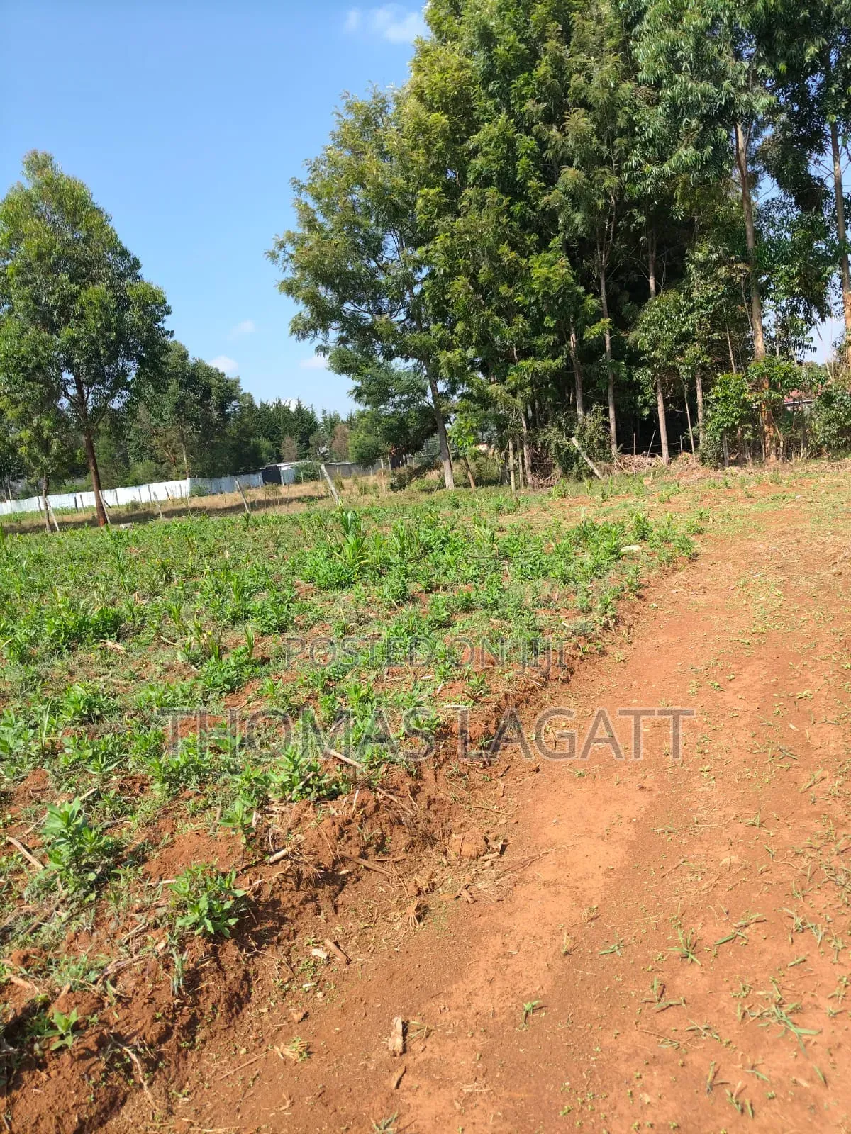 Eldoret Outspan Prime Residential 1⁄8 Acre Plots on Sale in Racecourse