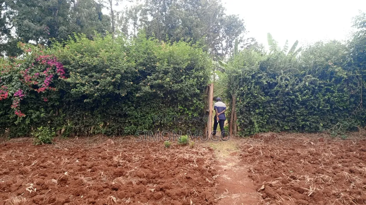 Golden Palm Estate Kiambu Rd Prime Serviced Red Soil 1/4 AC Plot in Kiambu CBD