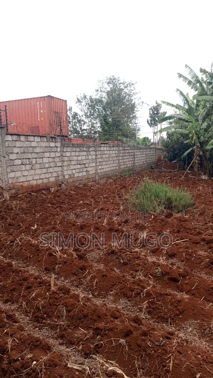 Golden Palm Estate Kiambu Rd Prime Serviced Red Soil 1/4 AC Plot in Kiambu CBD