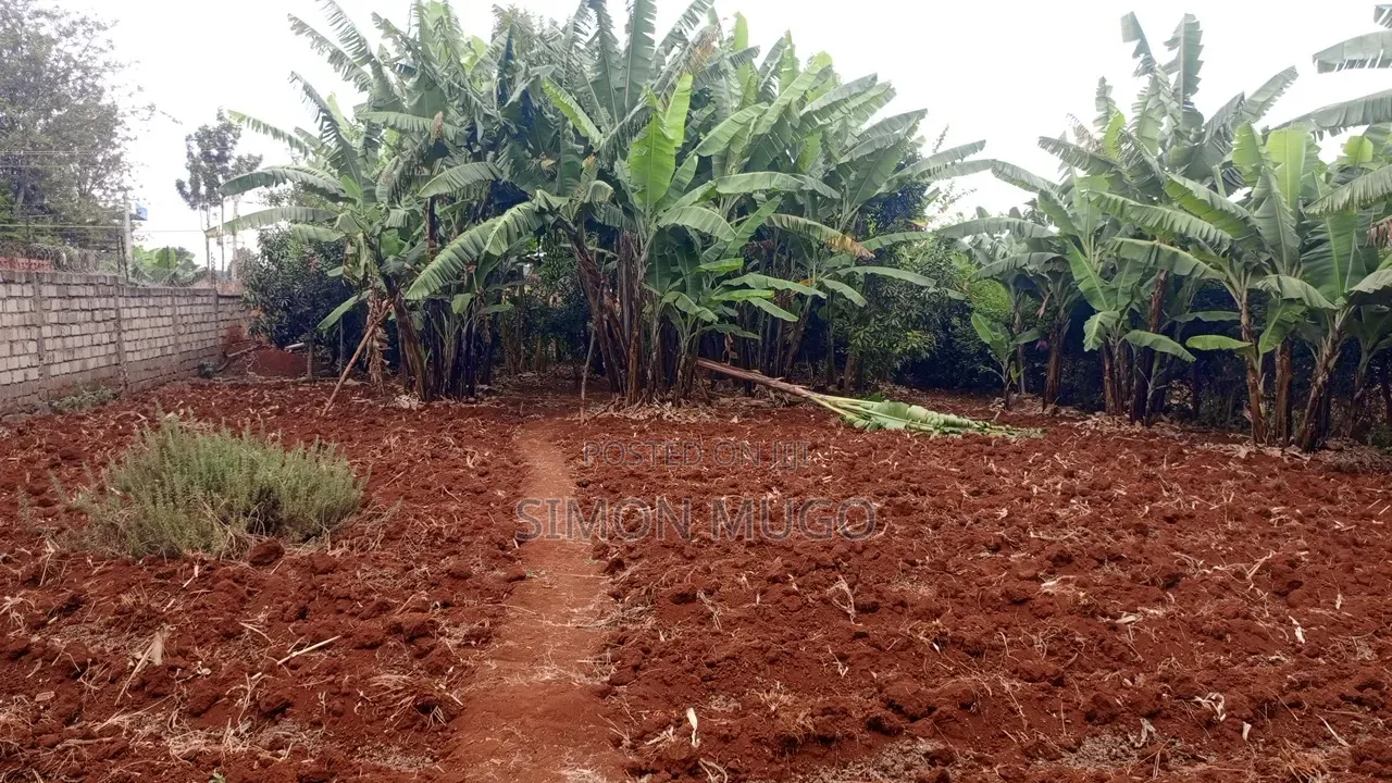 Golden Palm Estate Kiambu Rd Prime Serviced Red Soil 1/4 AC Plot in Kiambu CBD