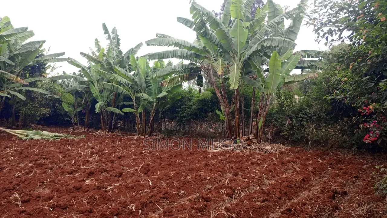 Golden Palm Estate Kiambu Rd Prime Serviced Red Soil 1/4 AC Plot in Kiambu CBD
