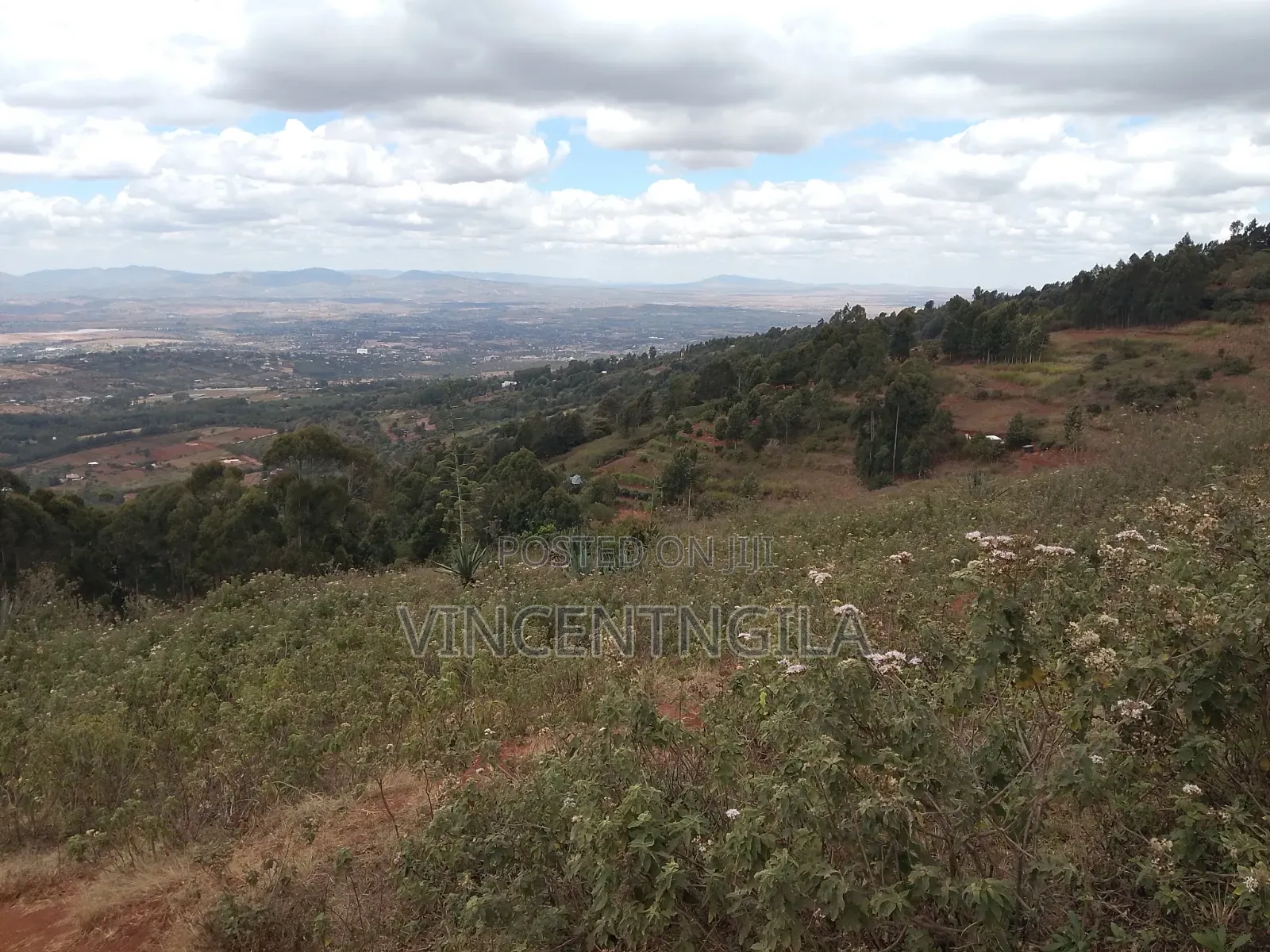 Mua Hills 7 Acres in Mua Hills