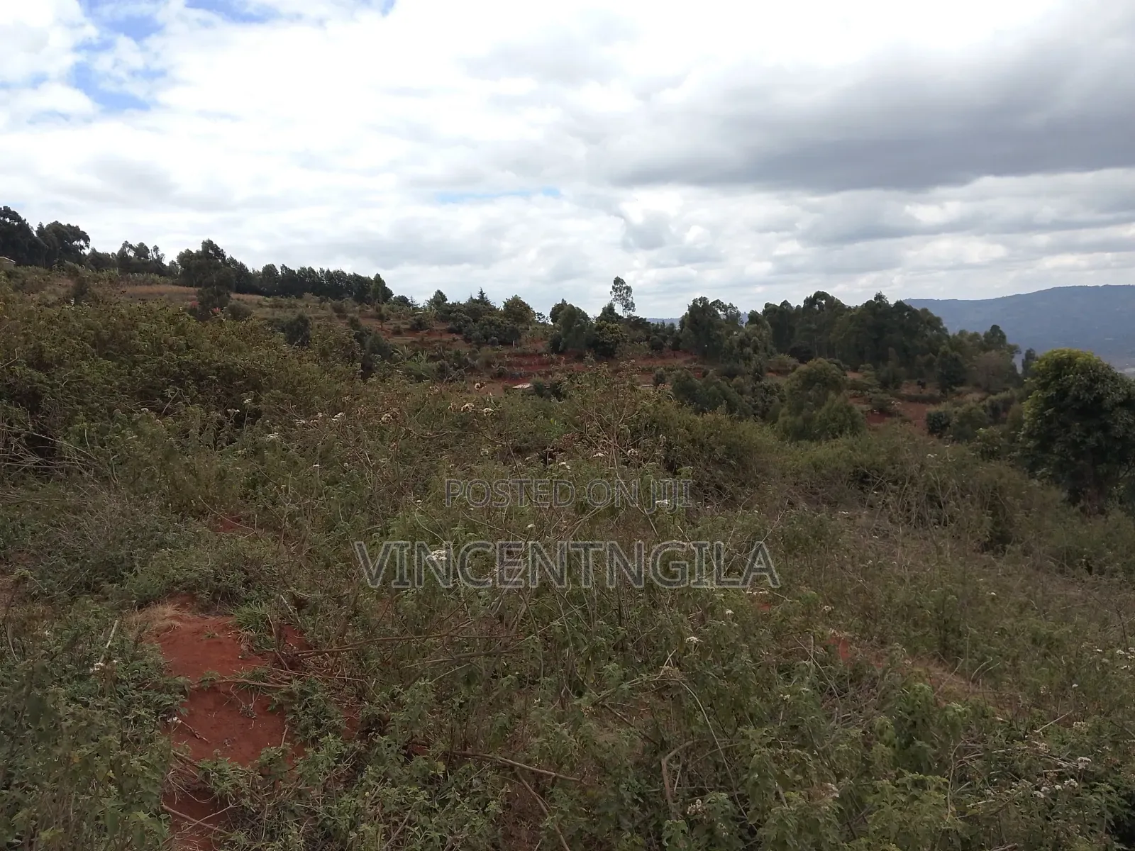 Mua Hills 7 Acres in Mua Hills