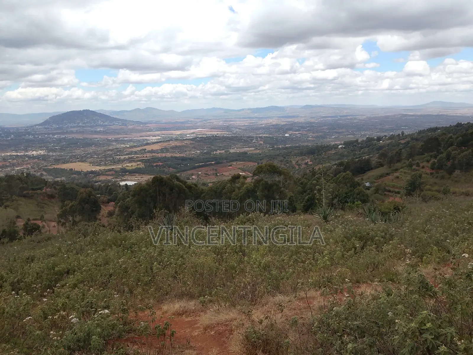 Mua Hills 7 Acres in Mua Hills