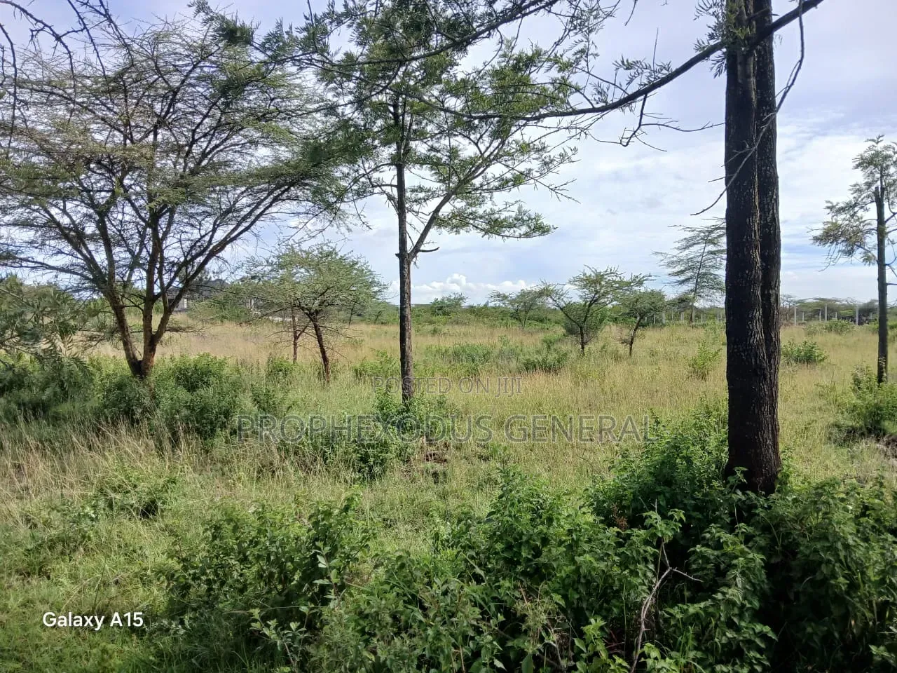 One Acre Residential Land for Sale Masaai Lodge in Maasai Lodge