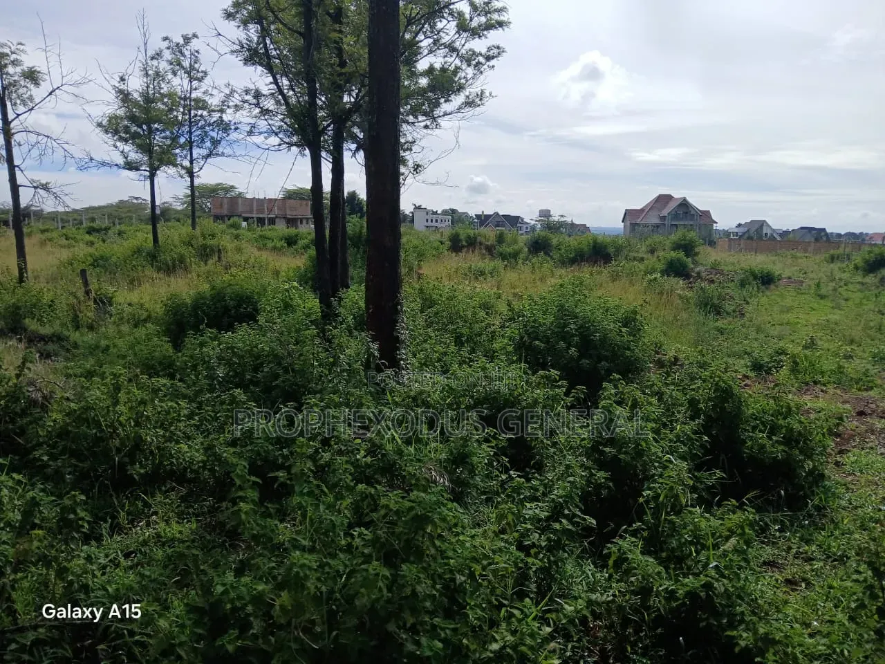 One Acre Residential Land for Sale Masaai Lodge in Maasai Lodge