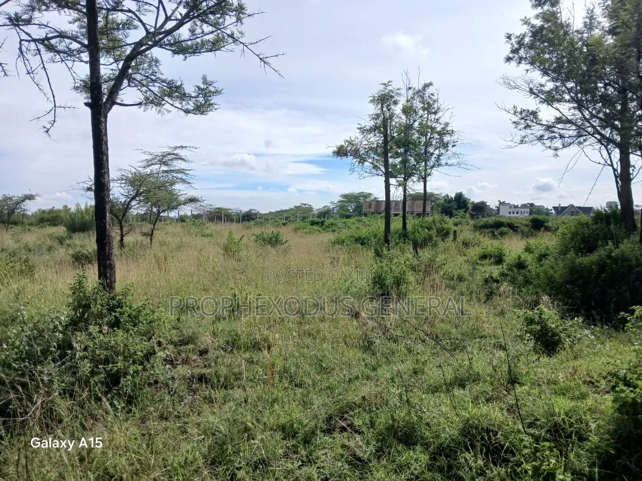 One Acre Residential Land for Sale Masaai Lodge in Maasai Lodge