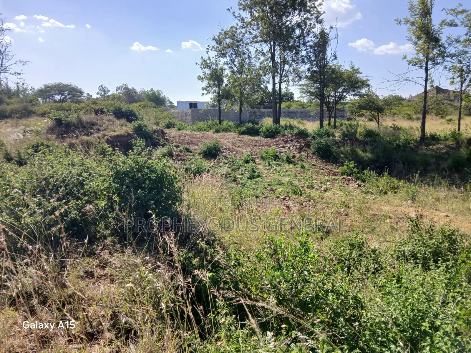 100ft by 100ft Residential Plots for Sale in O/Rongai Masaai Lodge in Maasai Lodge