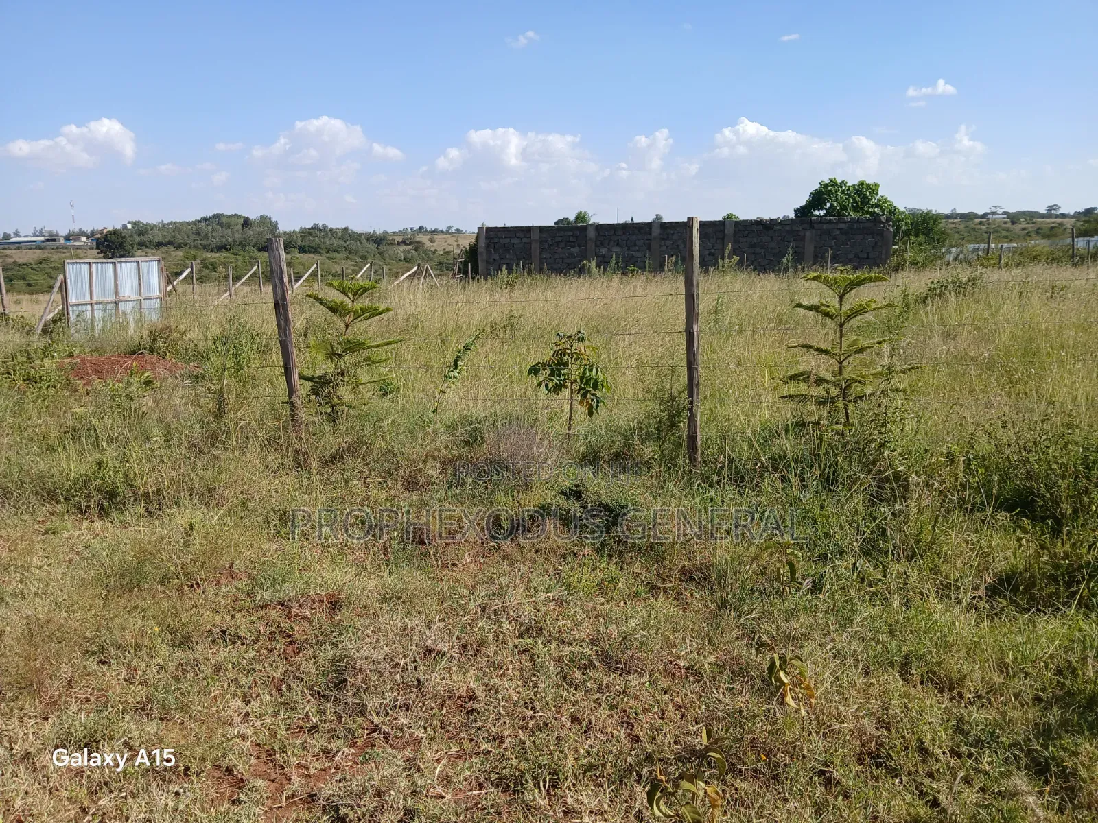 100ft by 100ft Residential Plots for Sale in O/Rongai Masaai Lodge in Maasai Lodge