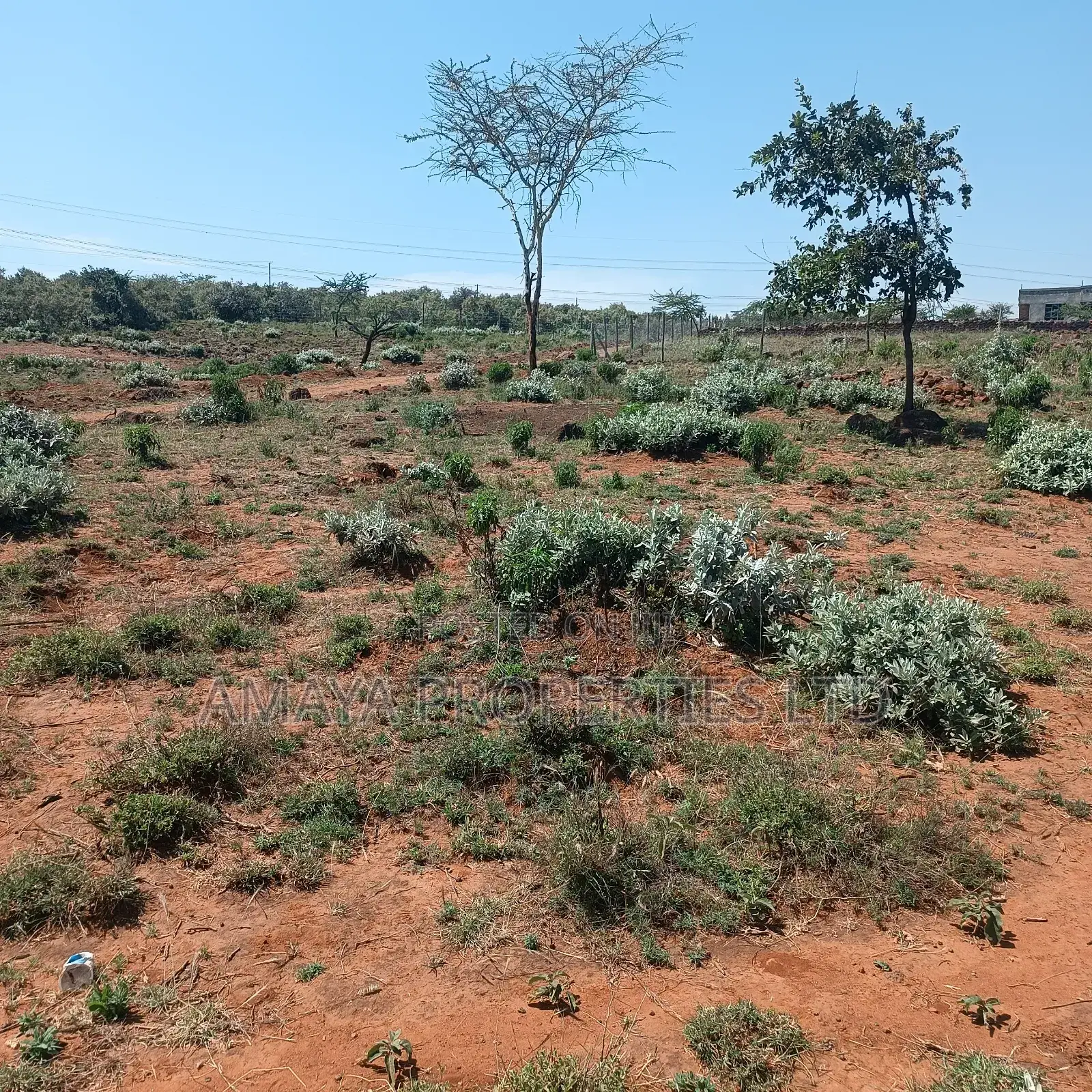 Kimuka Plots for Sale in Ngong CBD