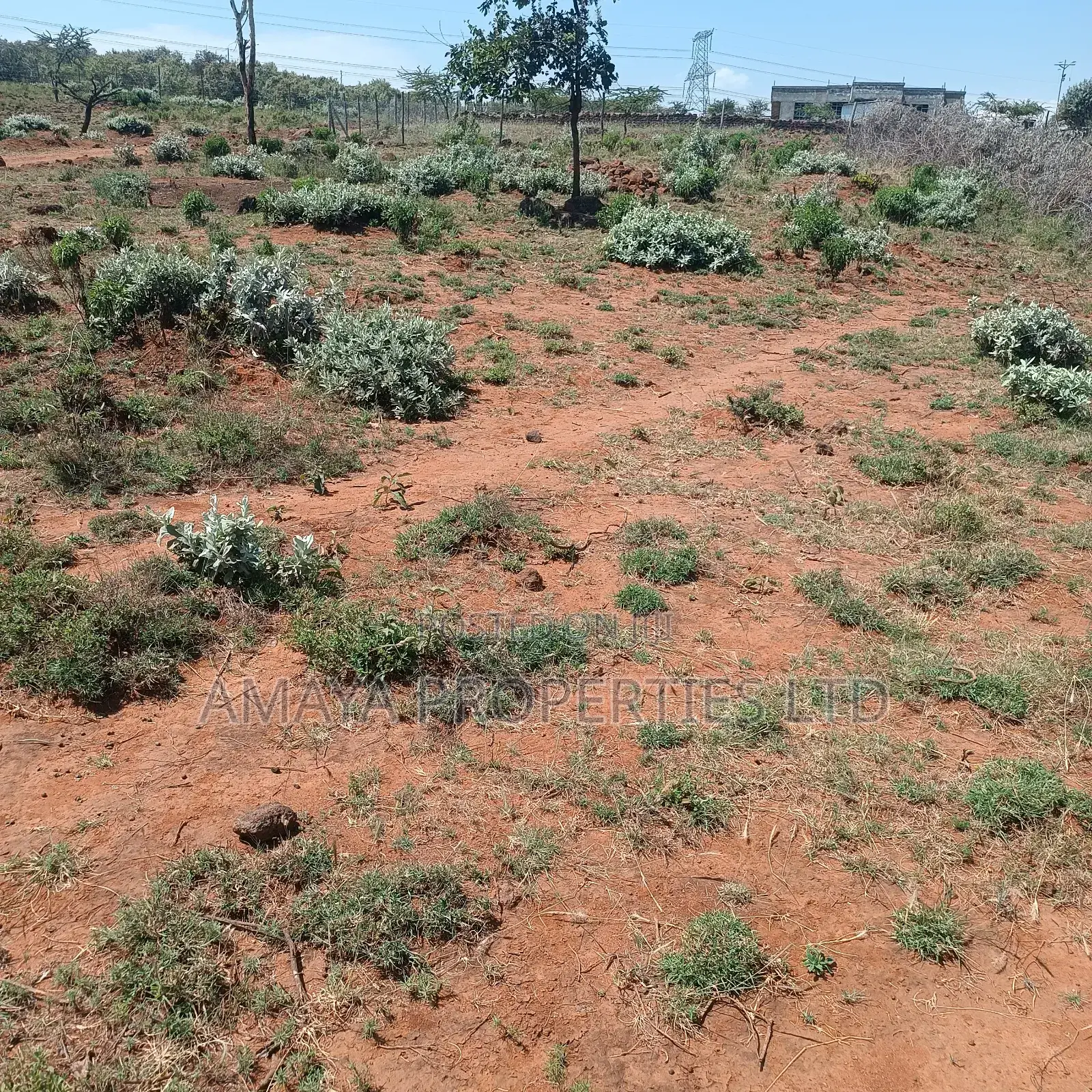 Kimuka Plots for Sale in Ngong CBD