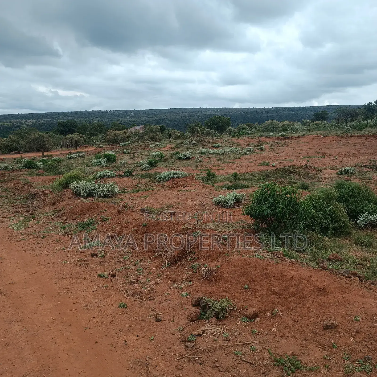 Affordable Plots in Ngong Kimuka Area in Ngong CBD
