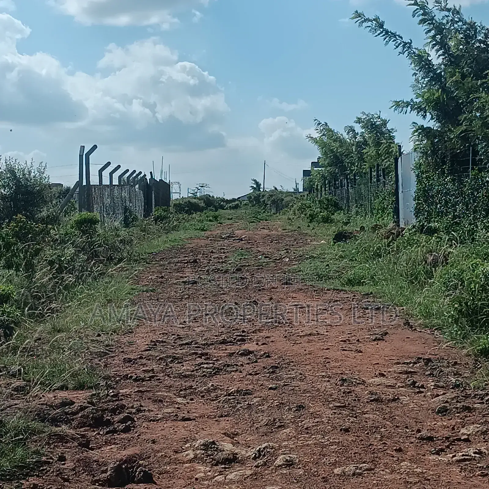 Ngong Plots for Sale in Kibiku