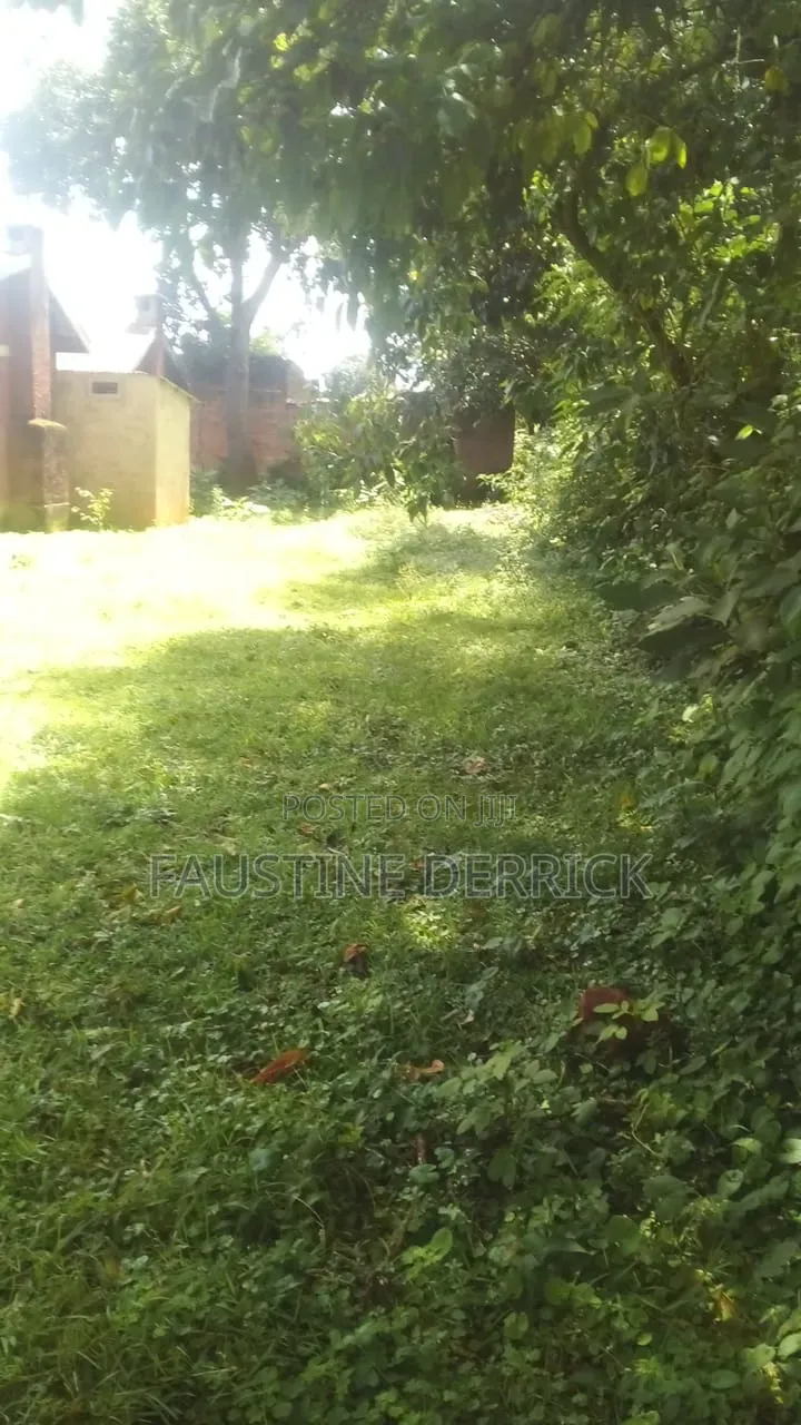 Plot on Sale at Kakamega Malava Area in South Kabras