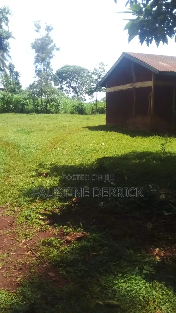 Plot on Sale at Kakamega Malava Area in South Kabras