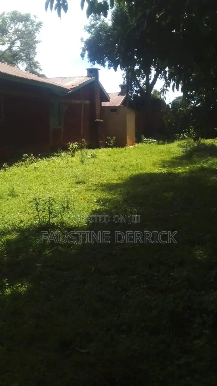 Plot on Sale at Kakamega Malava Area in South Kabras