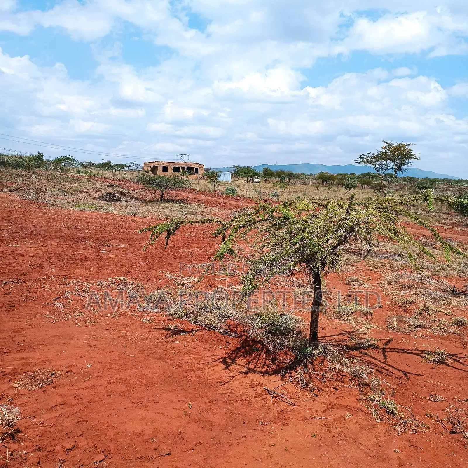 Prime Plots for Sale 100 Metres Off Tarmac in Ngong CBD