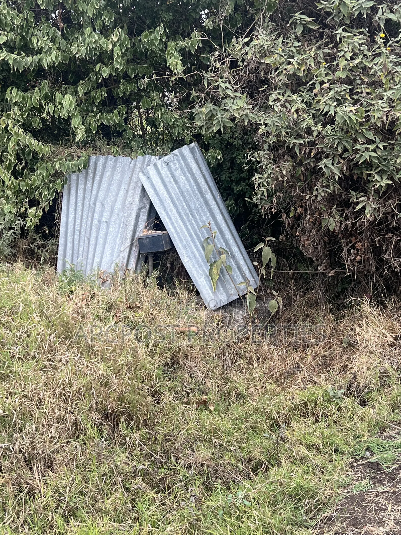 2 Acres Prime Land for Sale in Olkeri 200m From Tarmac With Borehole in Olkeri