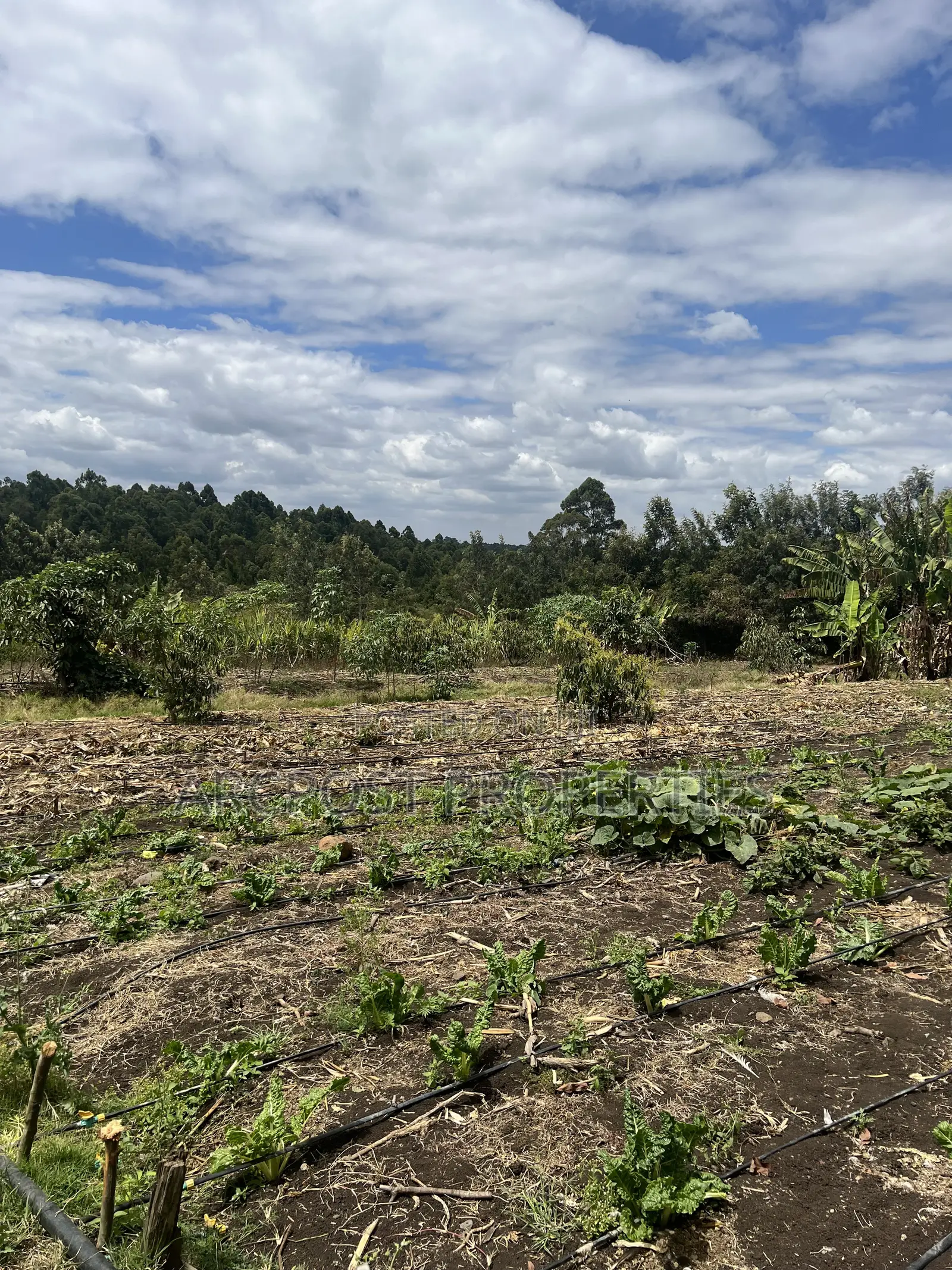 2 Acres Prime Land for Sale in Olkeri 200m From Tarmac With Borehole in Olkeri