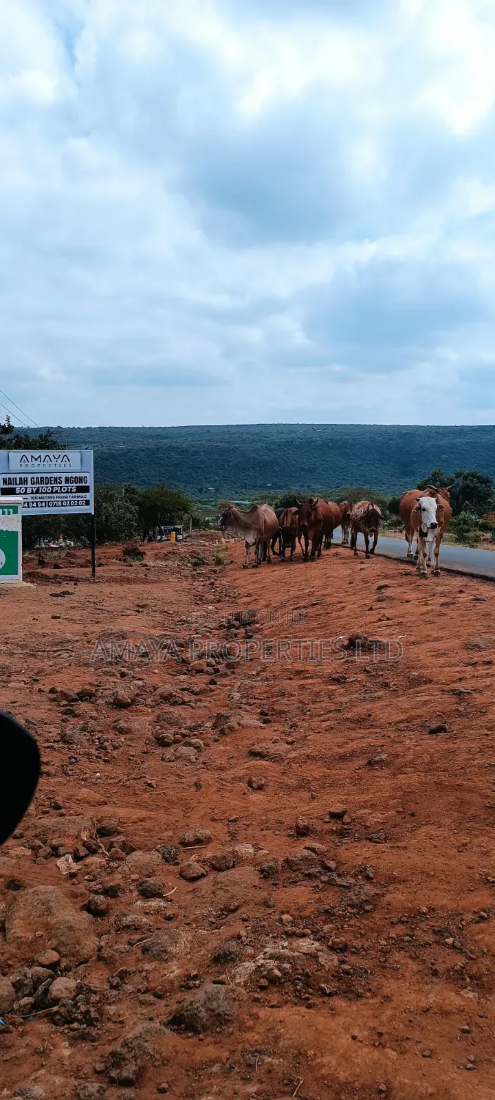 Affordable Land for Sale in Ngong Kimuka in Ngong CBD