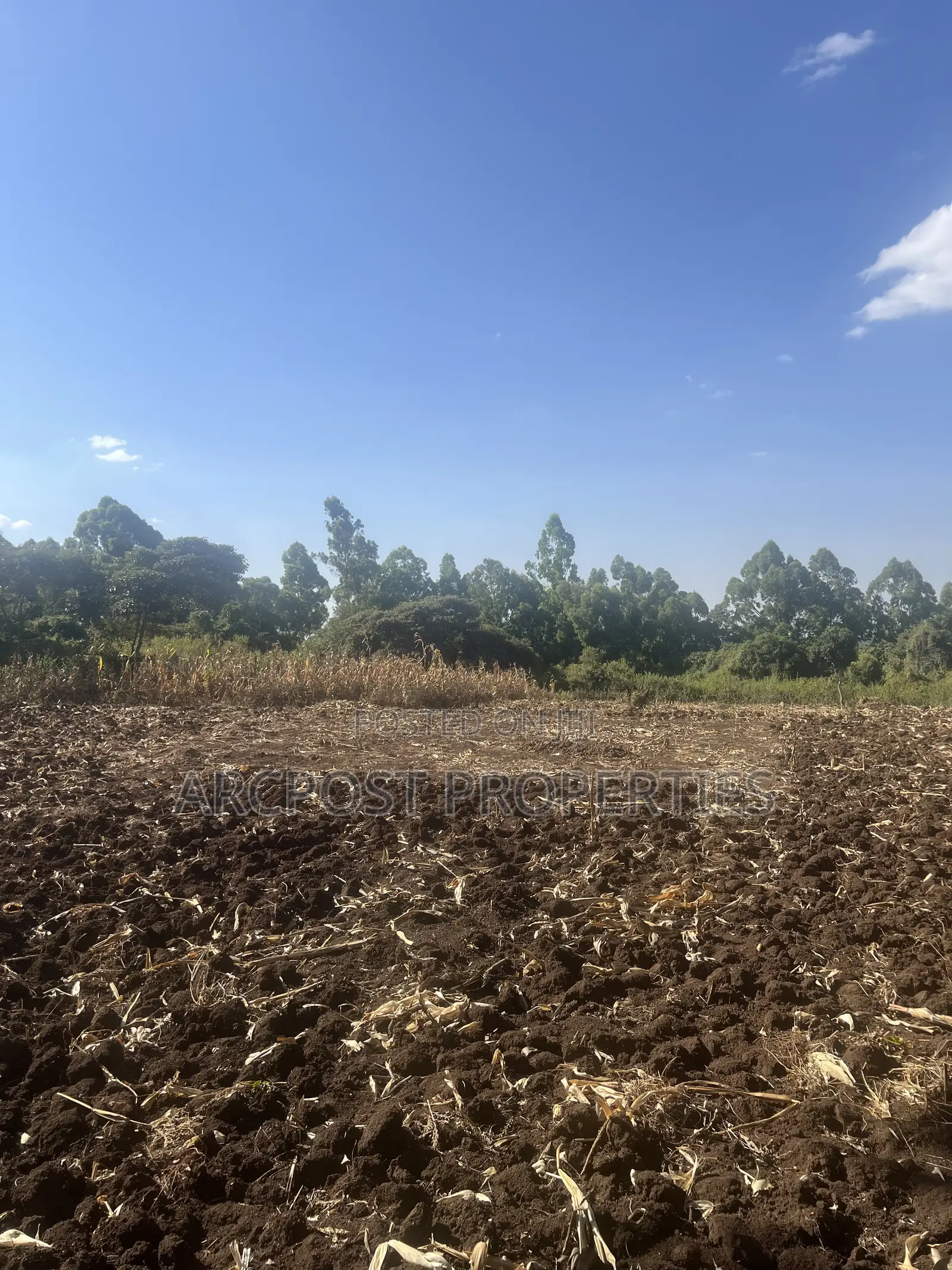 1 Acre Prime Land for Sale in Olkeri – 300m From Tarmac in Olkeri