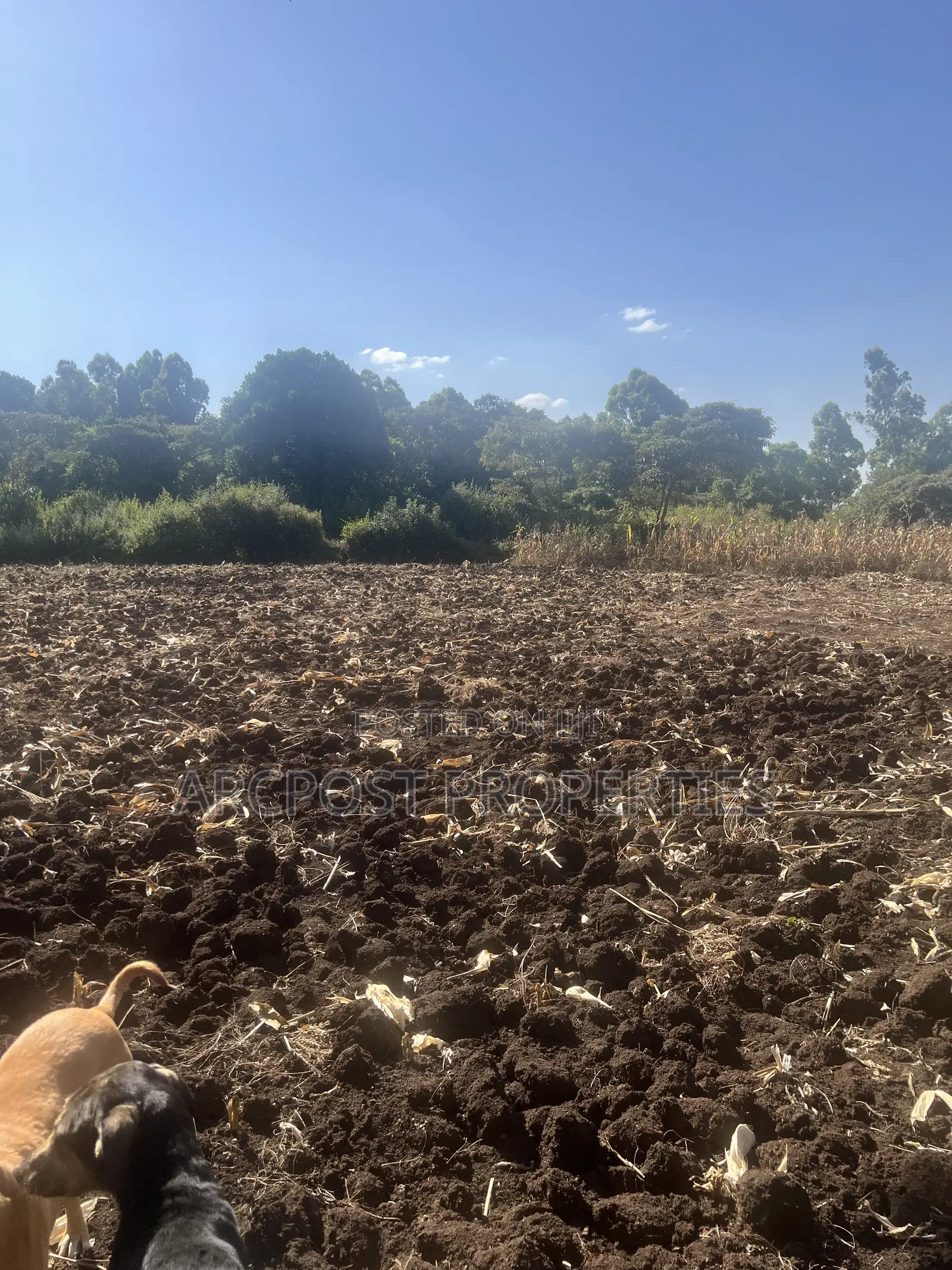 1 Acre Prime Land for Sale in Olkeri – 300m From Tarmac in Olkeri