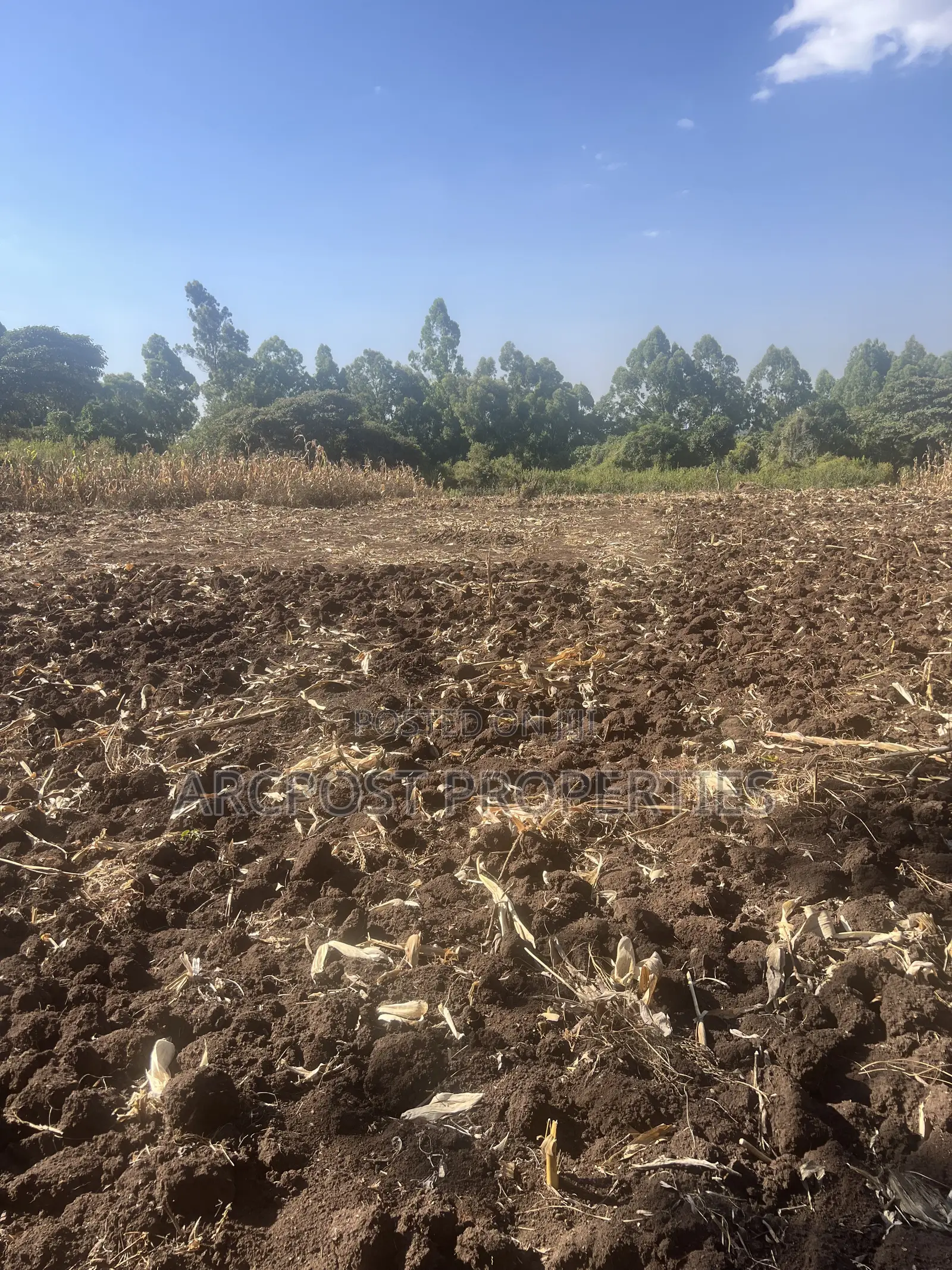 1 Acre Prime Land for Sale in Olkeri – 300m From Tarmac in Olkeri
