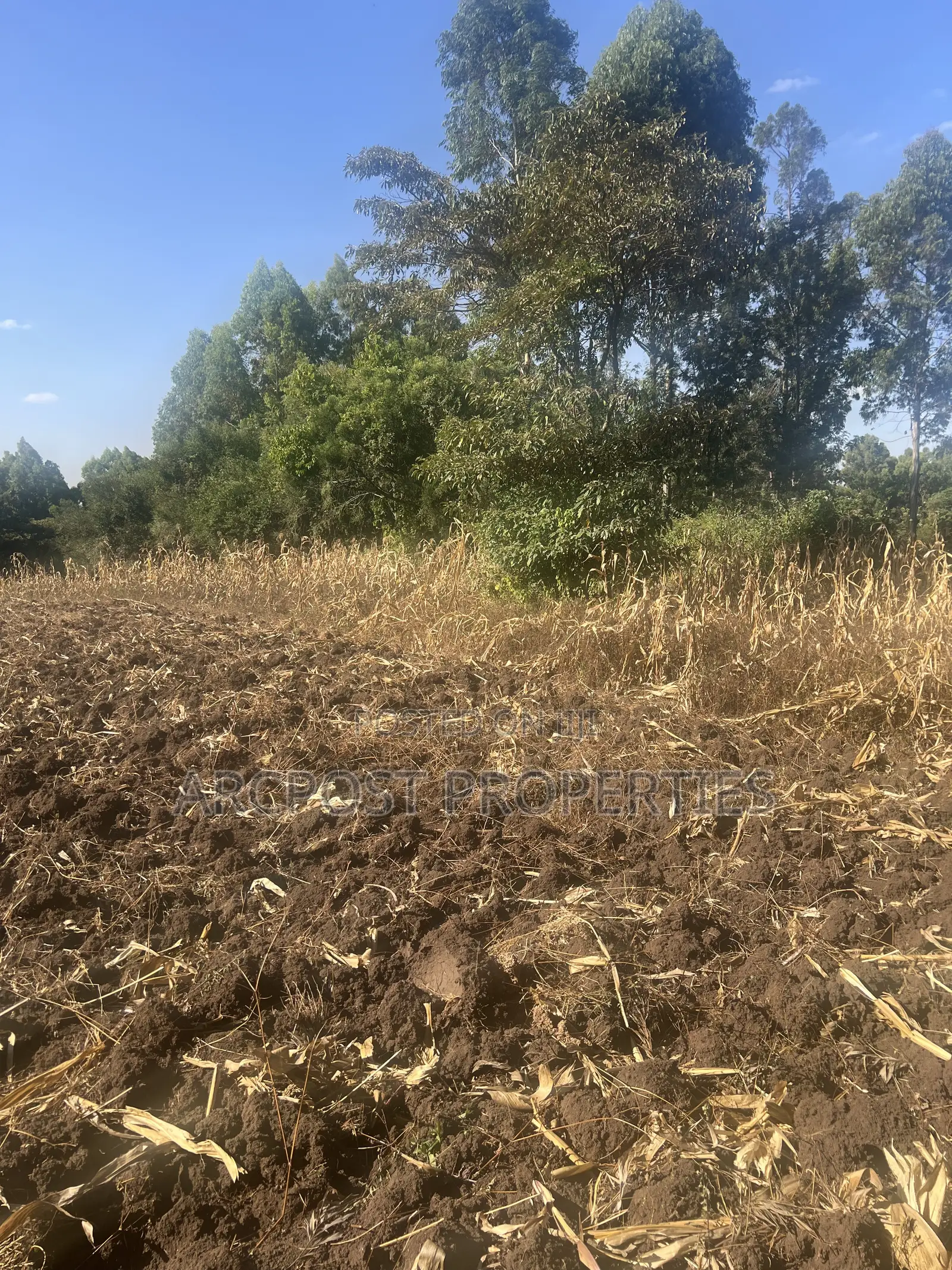 1 Acre Prime Land for Sale in Olkeri – 300m From Tarmac in Olkeri